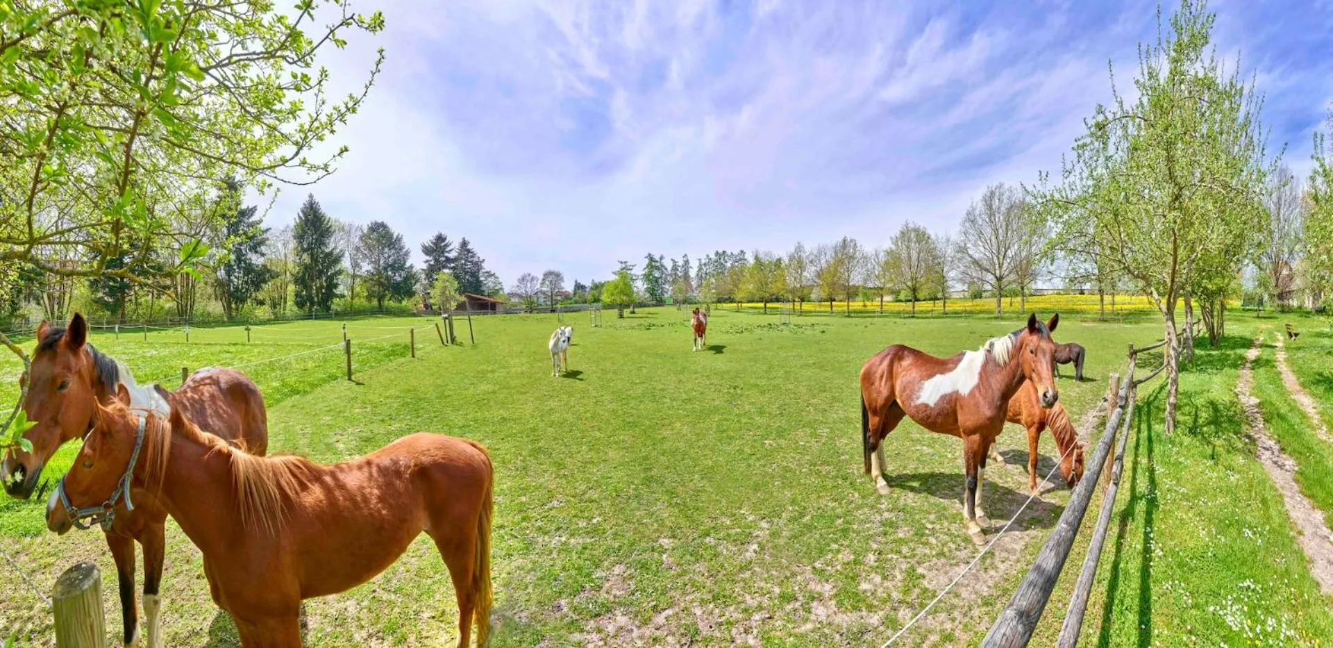 Romantik Hotel Zum Klosterbräu