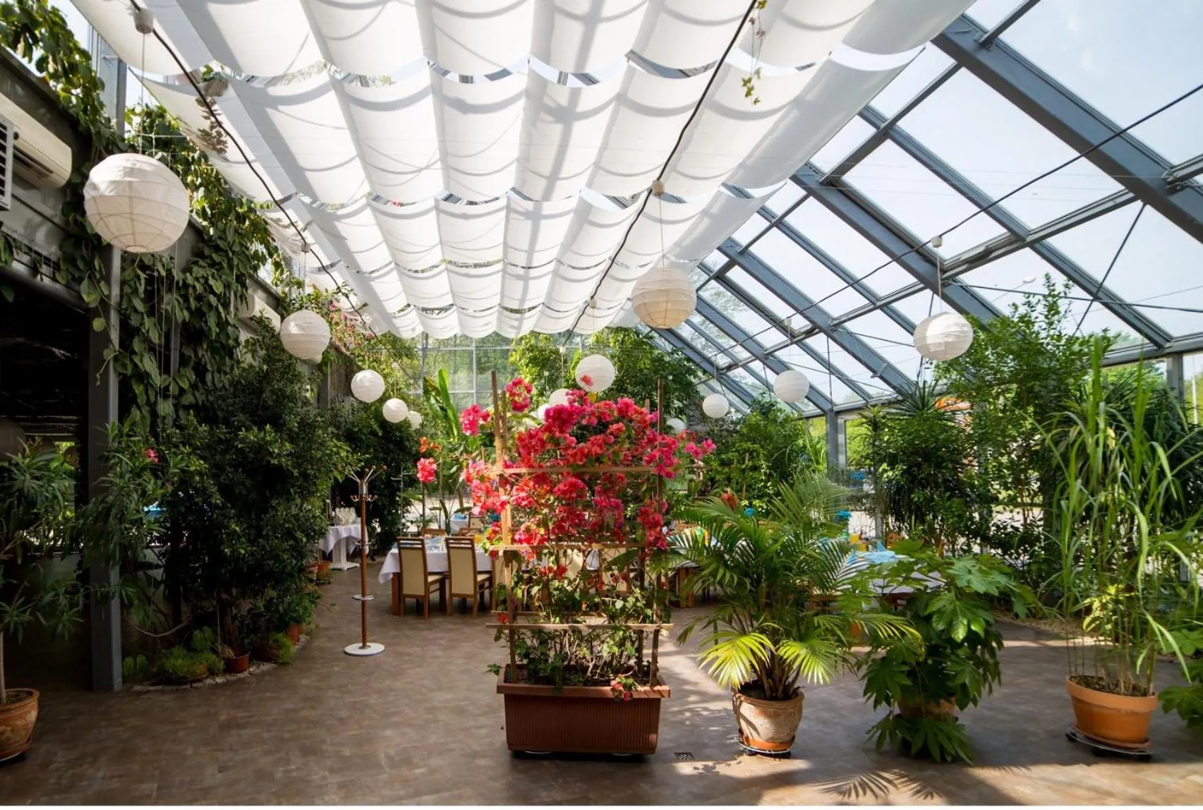 Food close-up in Hotel LUKA