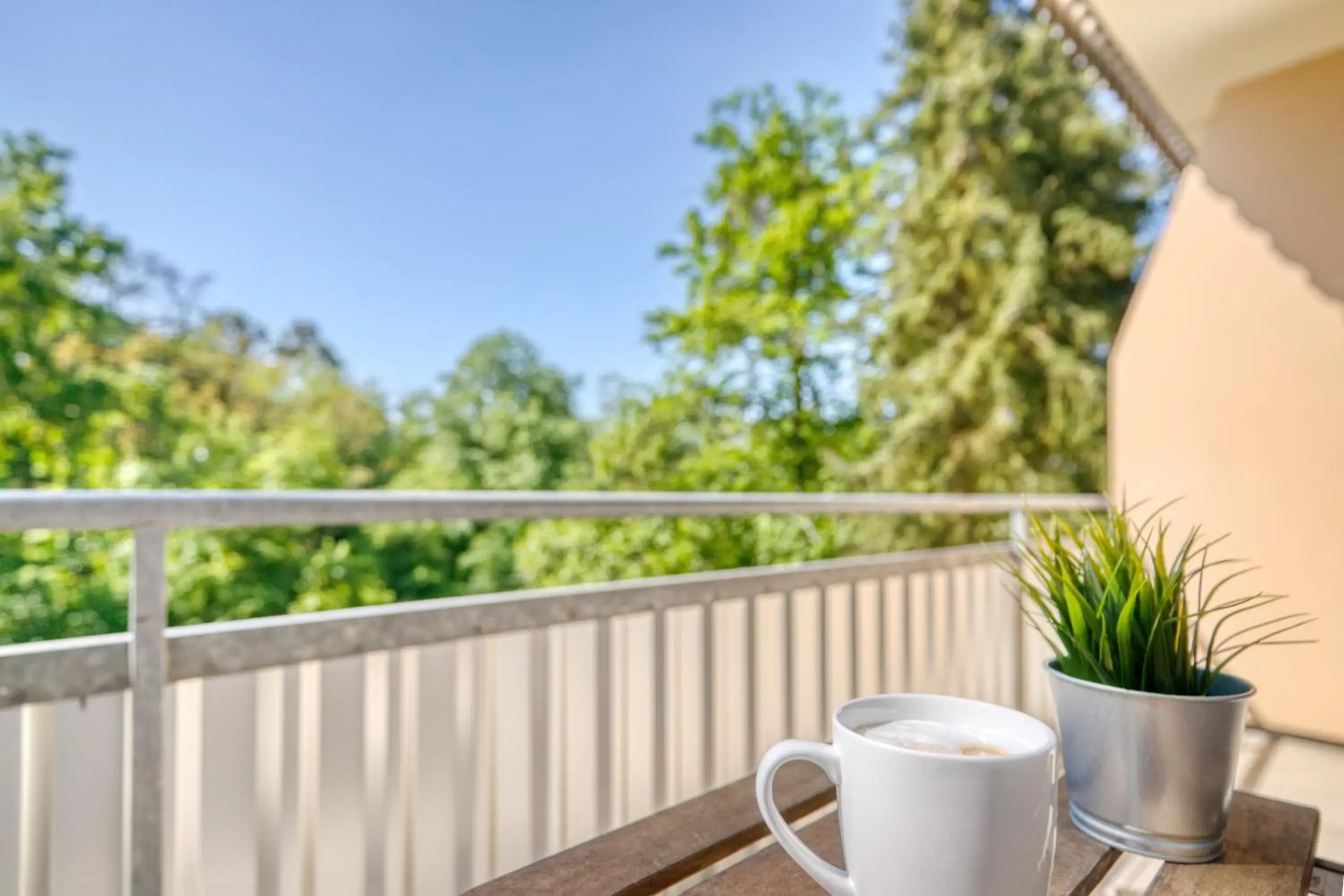 Deluxe Single Room with Balcony in Waldhotel Deluxe Single Room with Balcony in Waldhotel