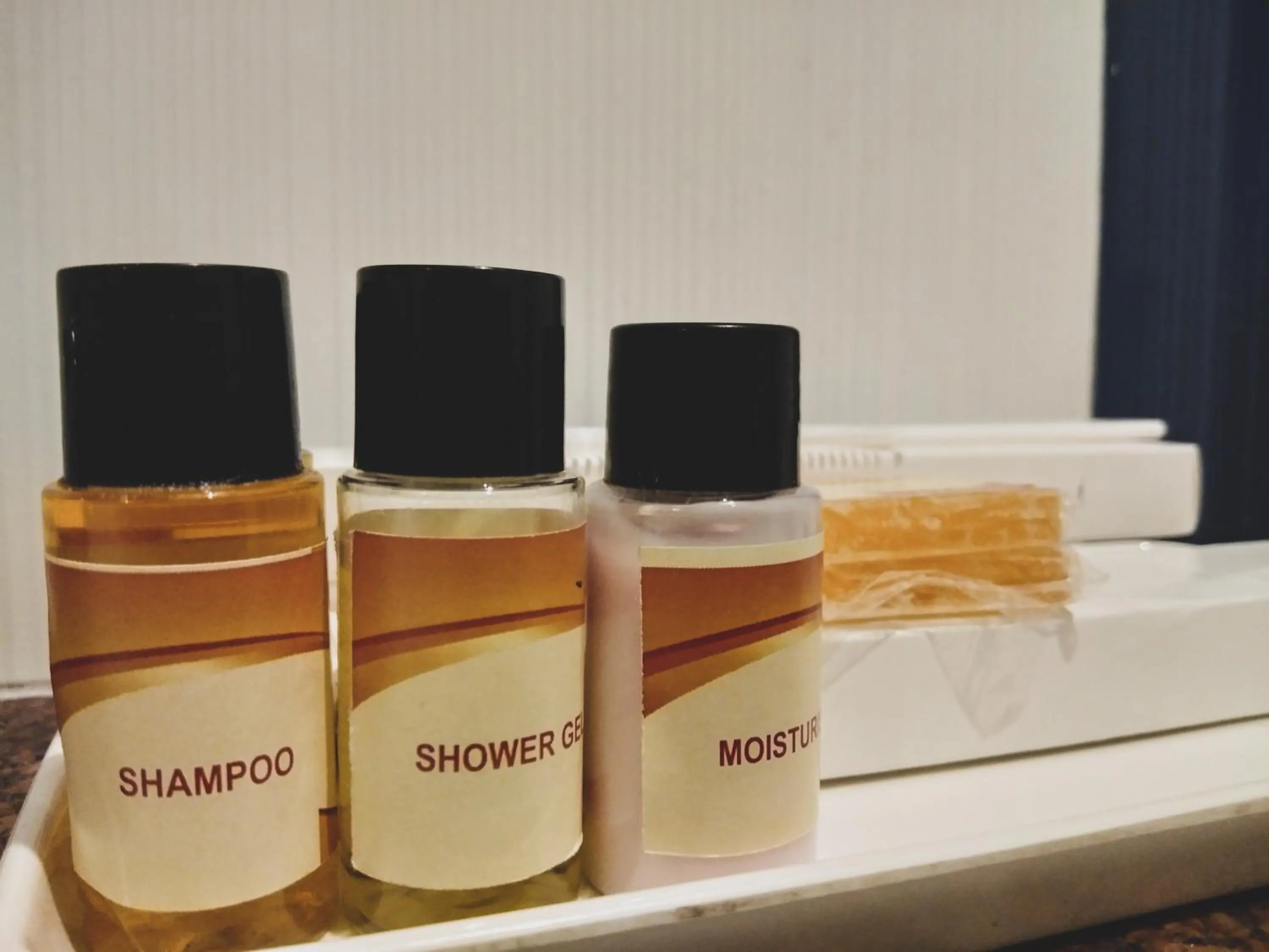 Shower in Dwivedi Hotels Palace On Steps