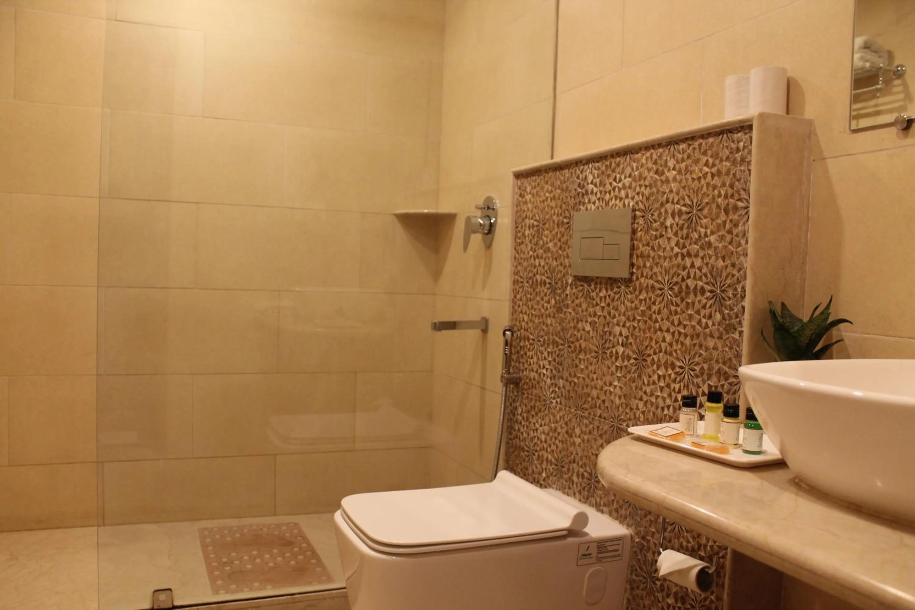 Bathroom in Hotel Surya, Kaiser Palace