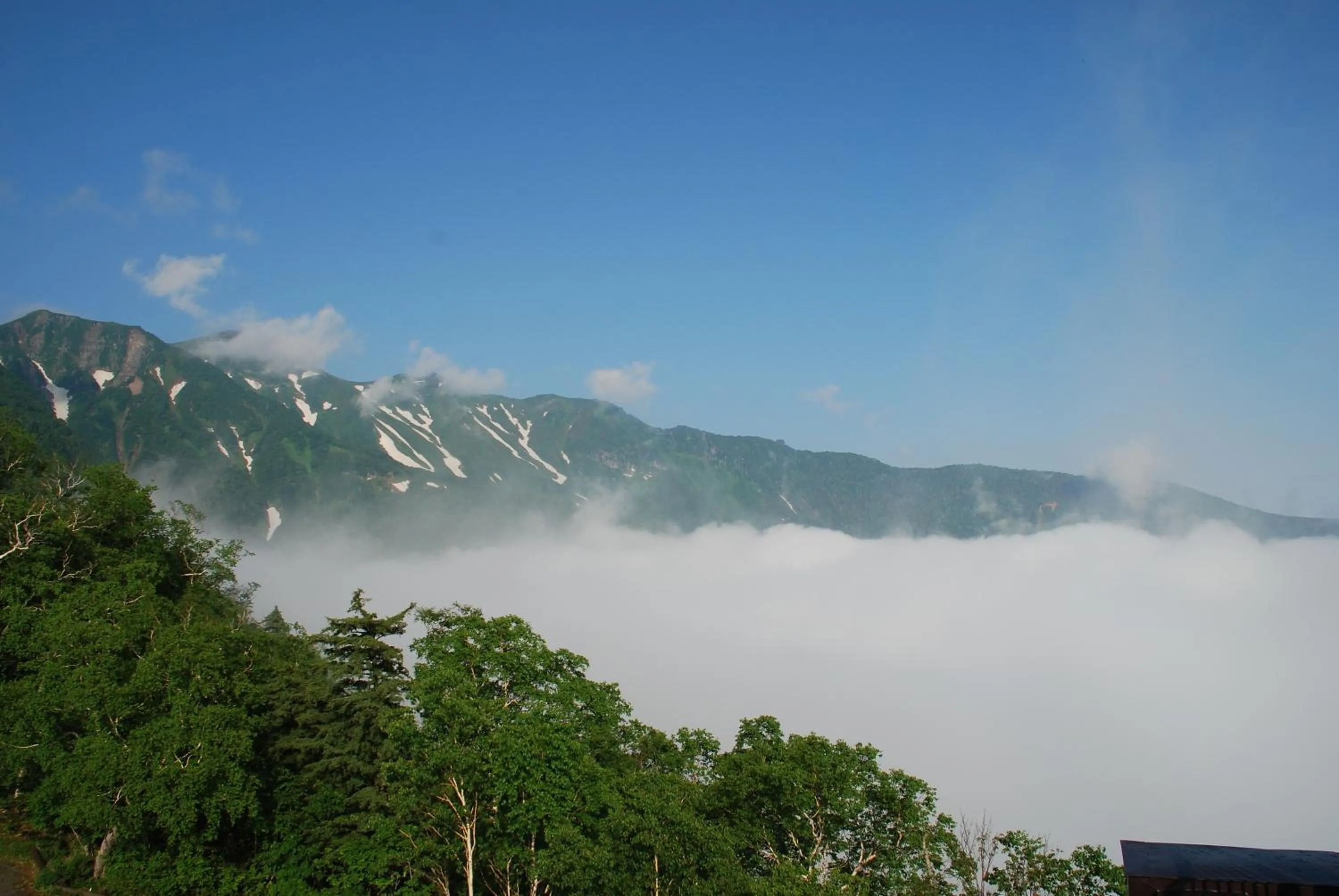Nearby landmark in Choyo Tei