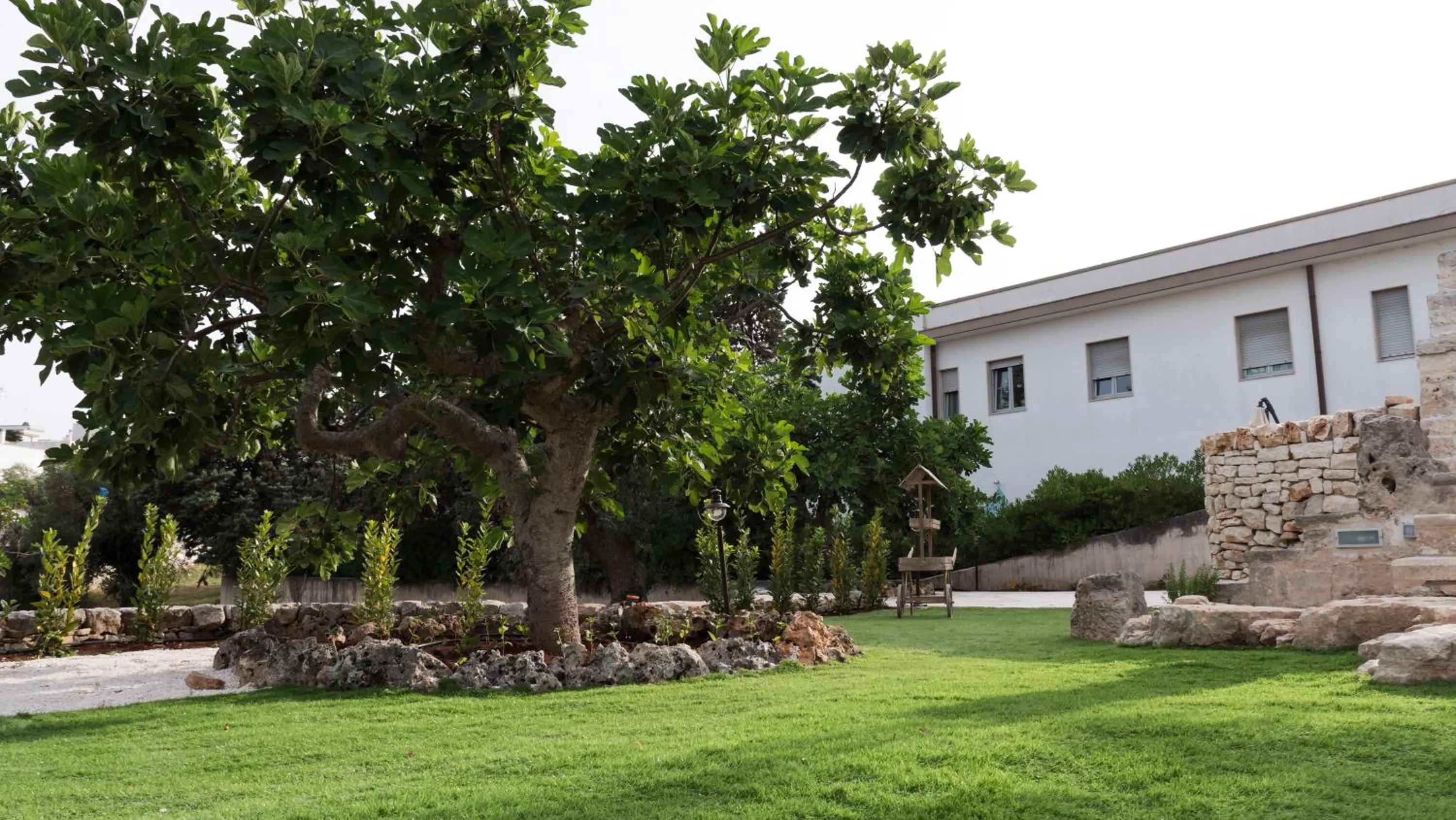 Garden in B&b I Trulli dei Desideri