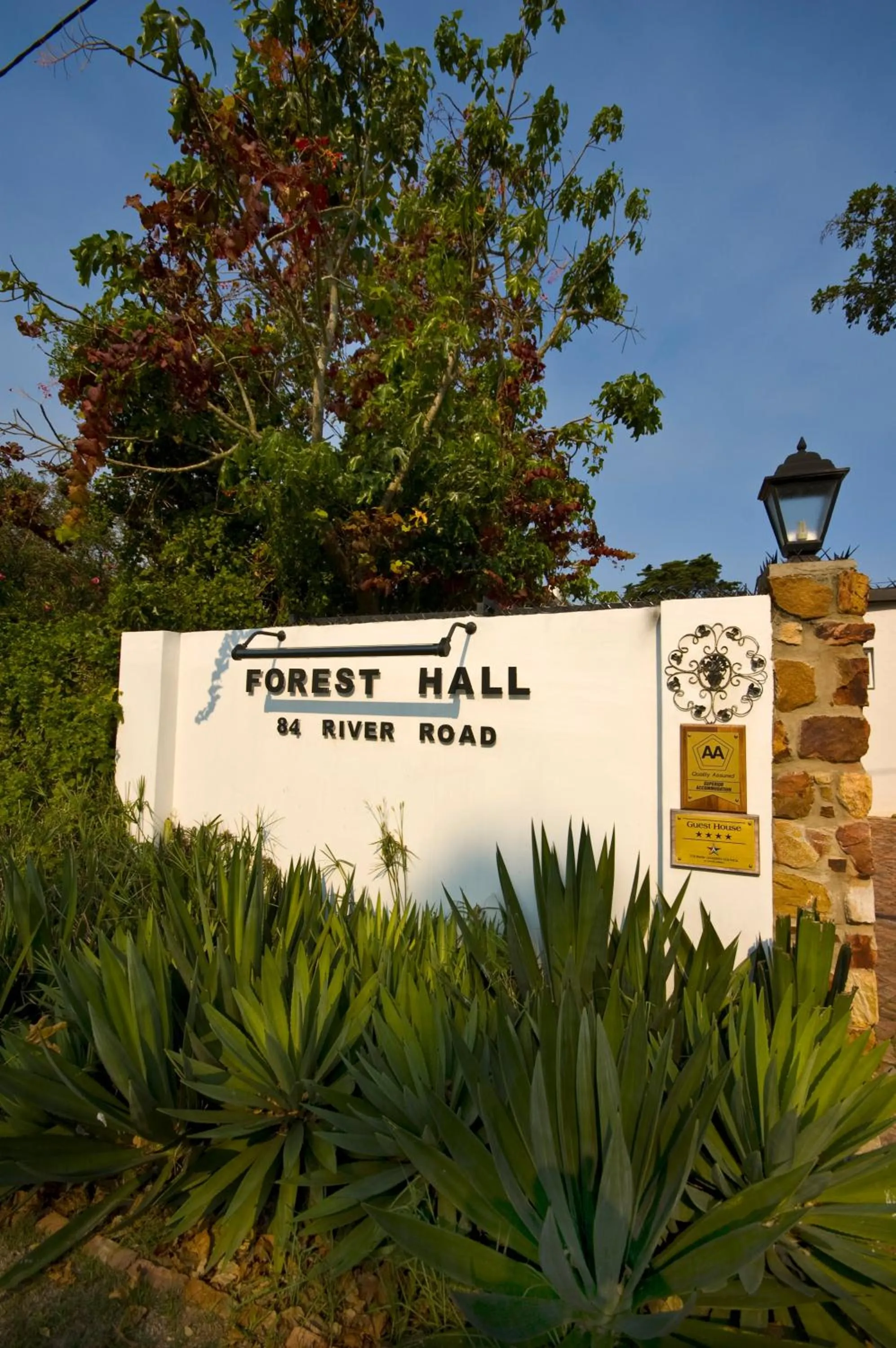 Day in Forest Hall Guest House