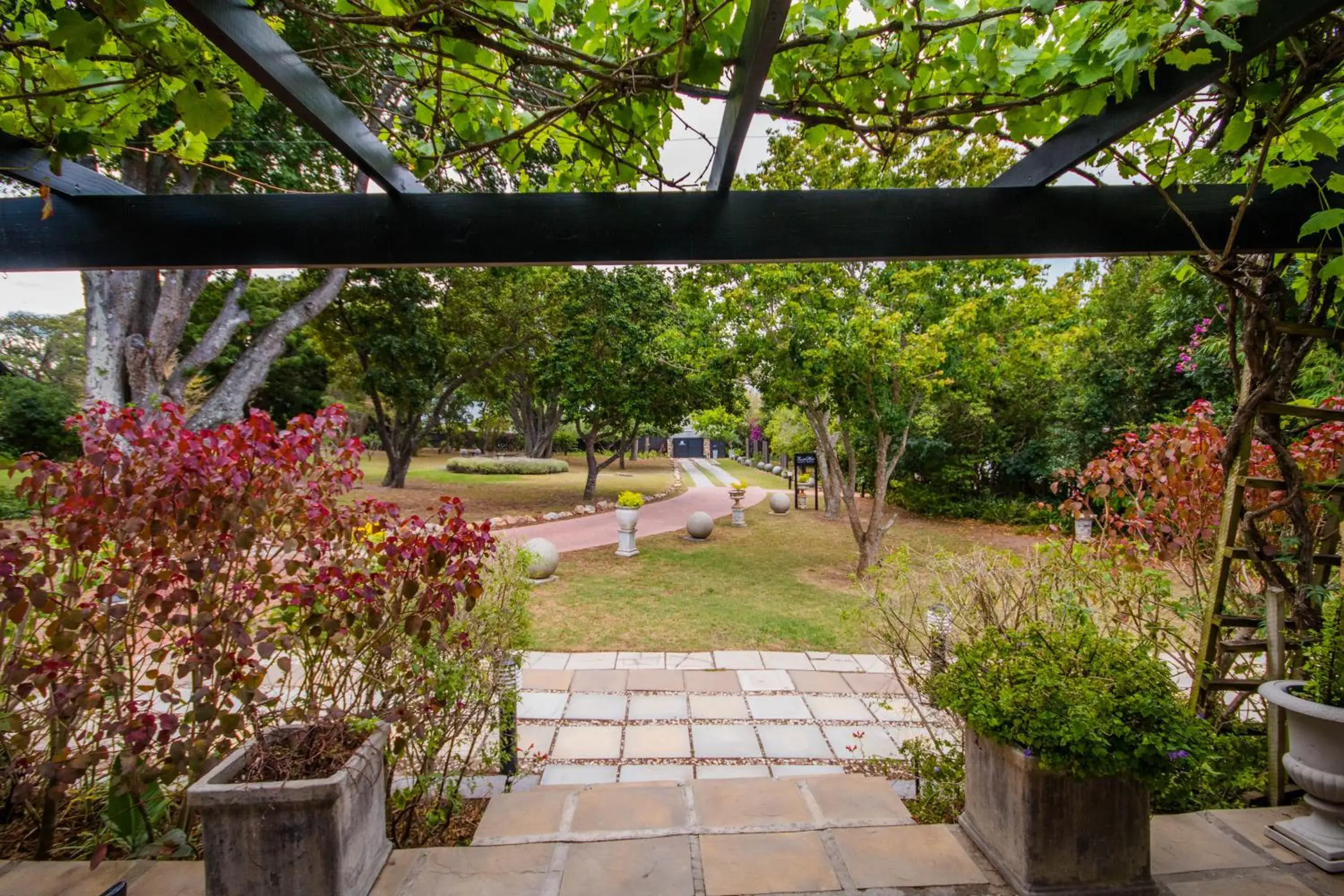 King Room with Garden View - single occupancy in Forest Hall Guest House King Room with Garden View - single occupancy in Forest Hall Guest House