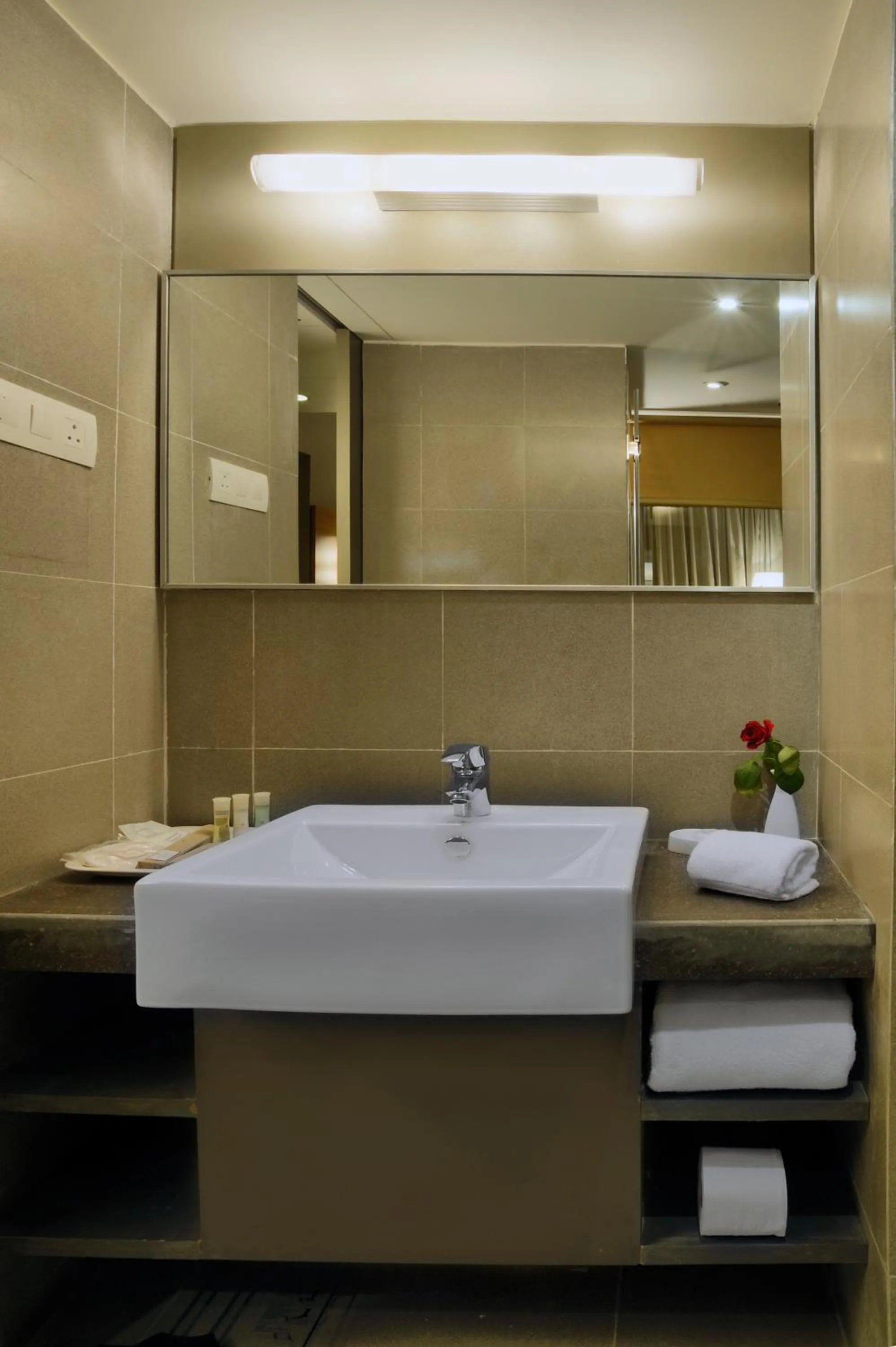 Bathroom in Royal Orchid Central Vadodara