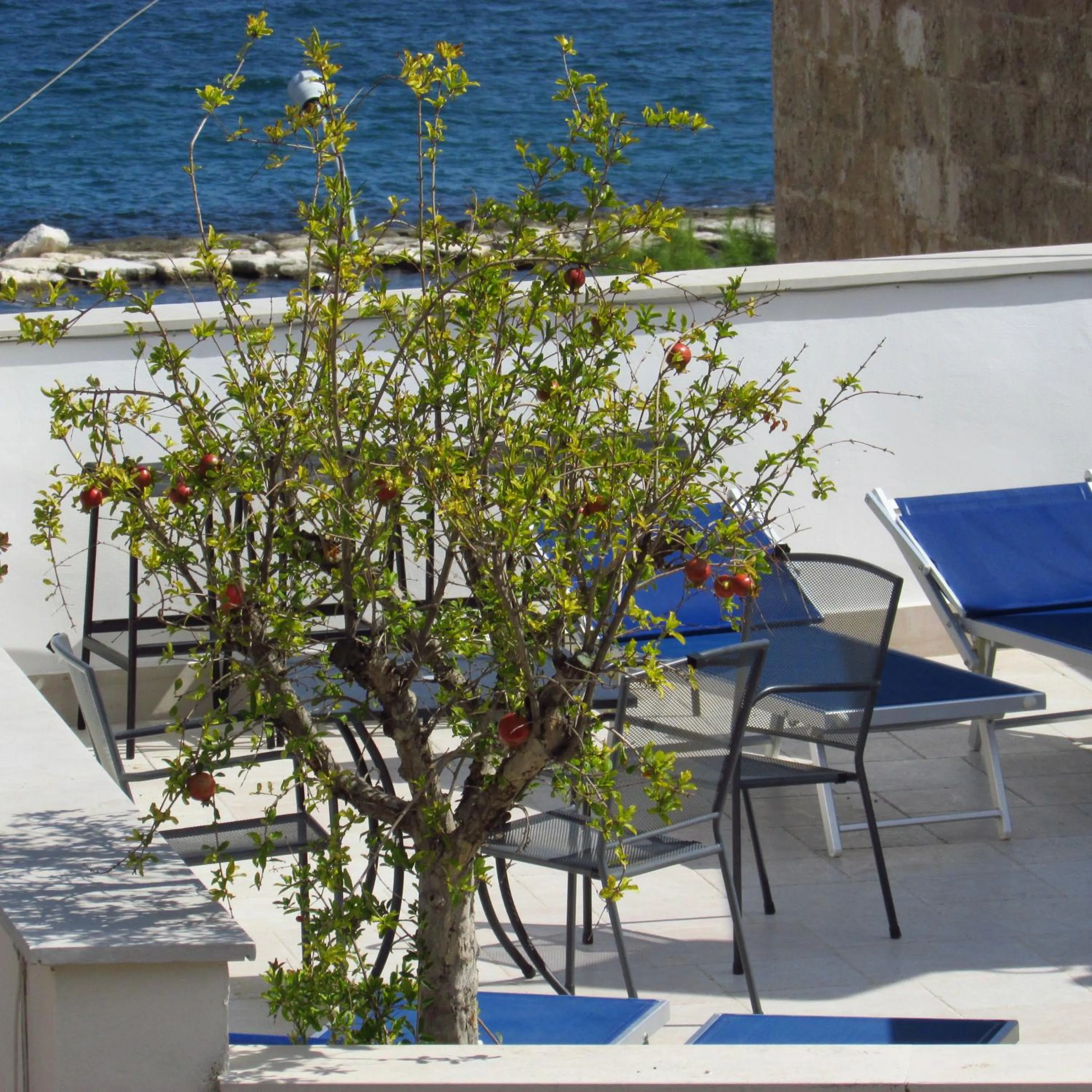 View (from property/room) in B&B La Muraglia