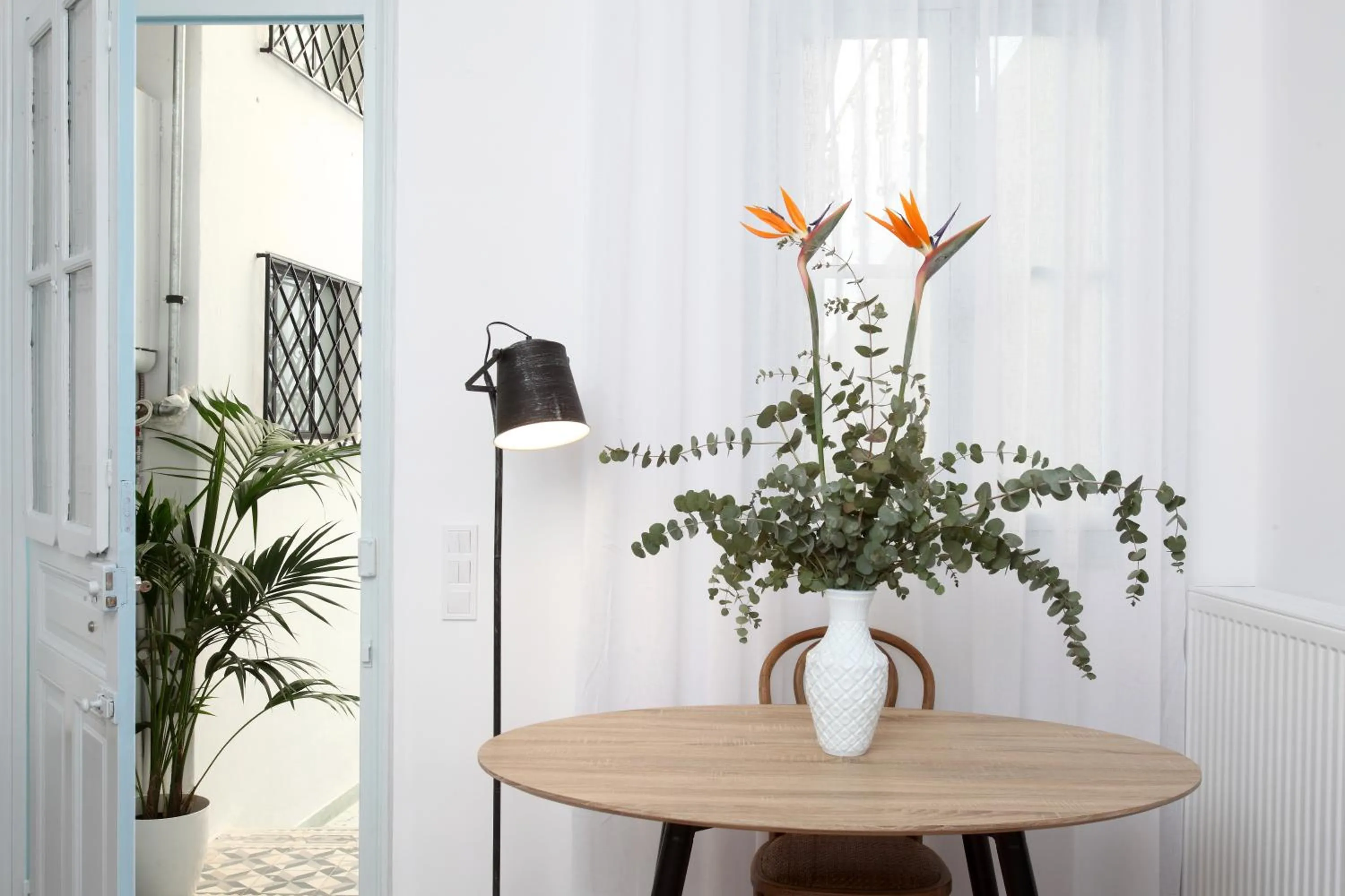 TV and multimedia in Live in Athens, THISEIO Historic House