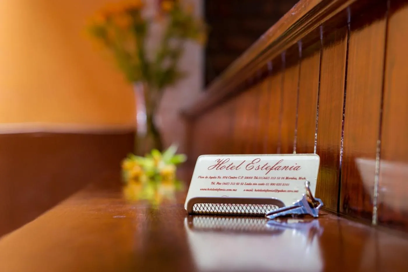 Lobby or reception in Hotel Estefania