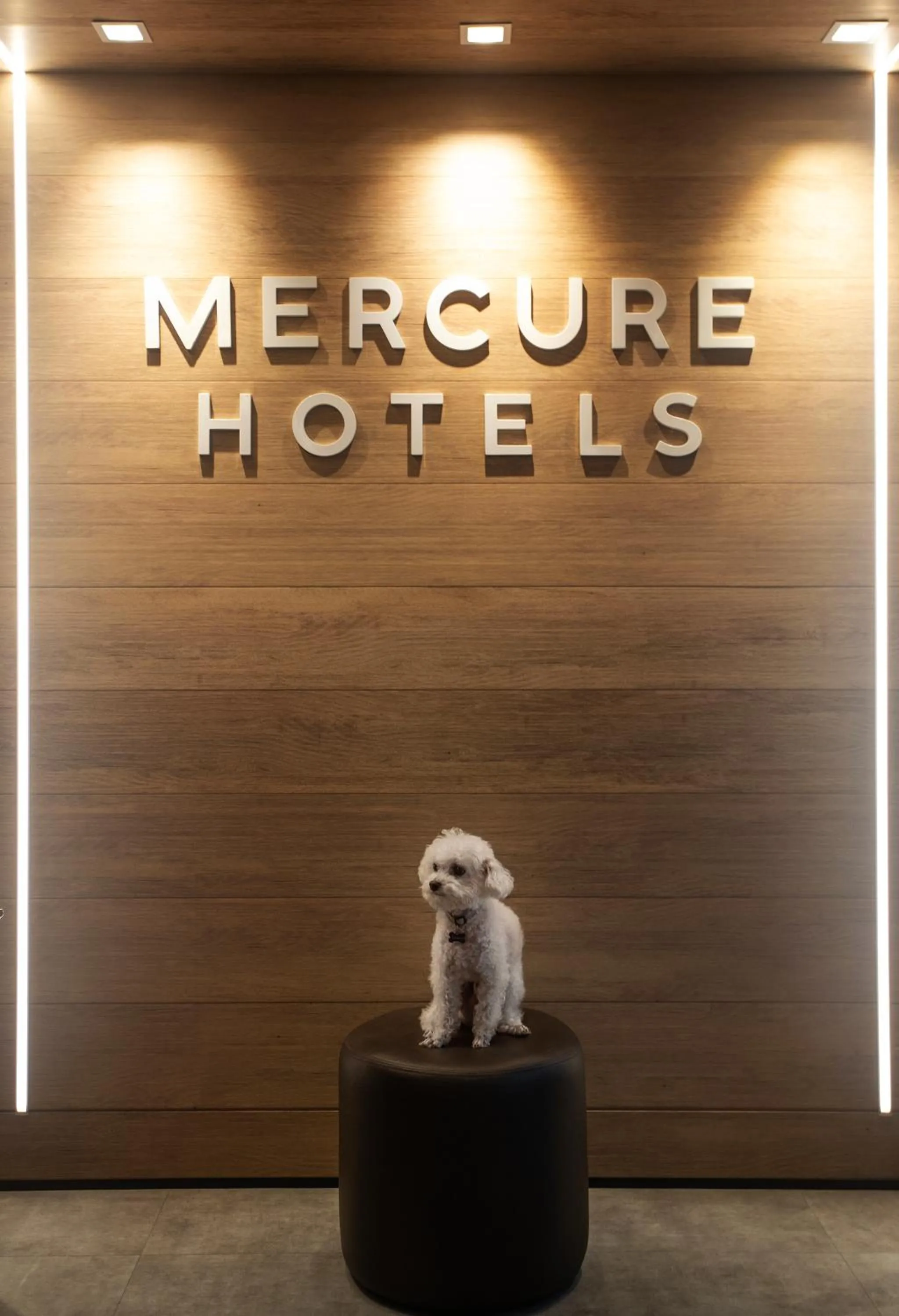 Property building in Mercure Maceio Pajuçara