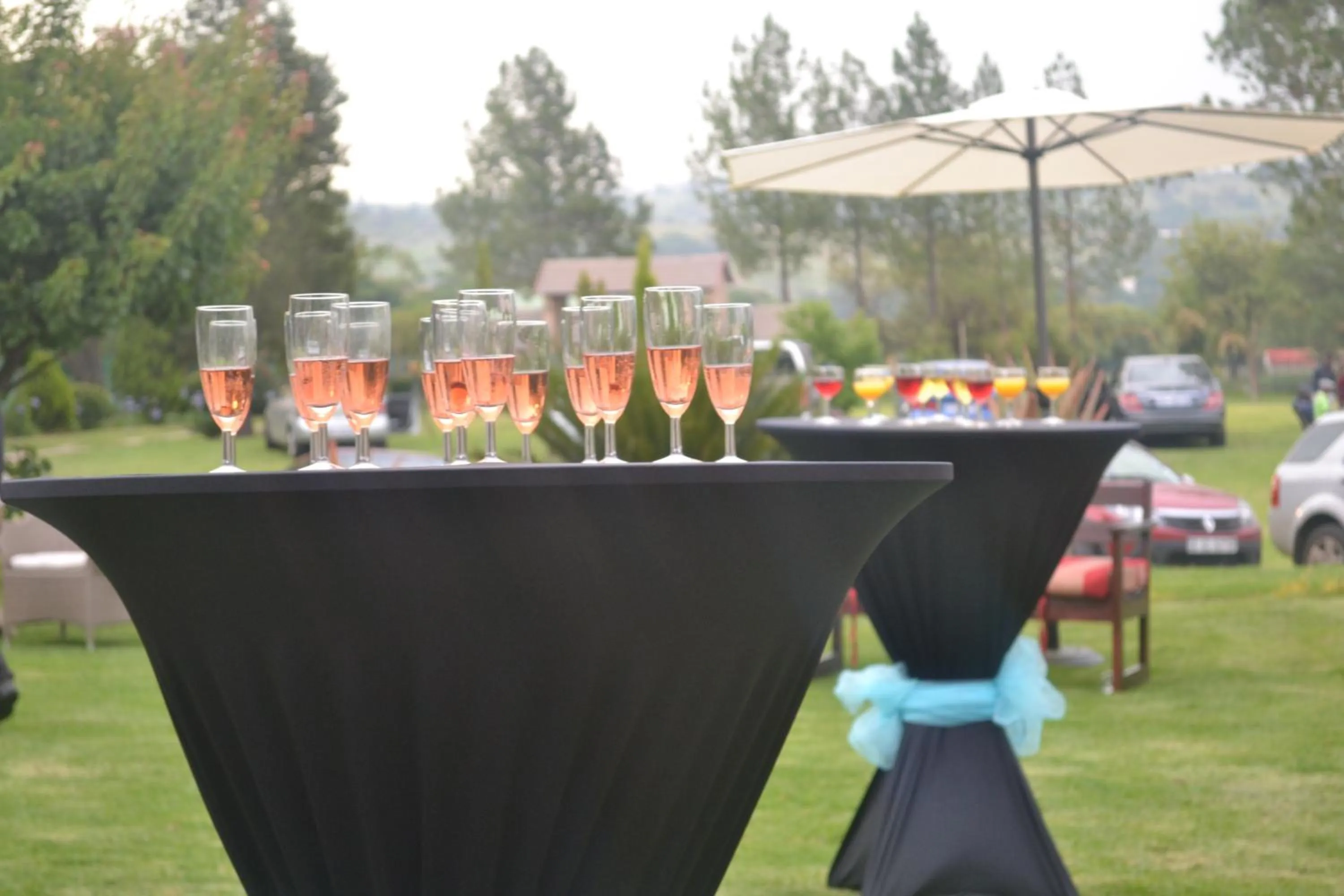 Alcoholic drinks in Hoyohoyo Chartwell Lodge