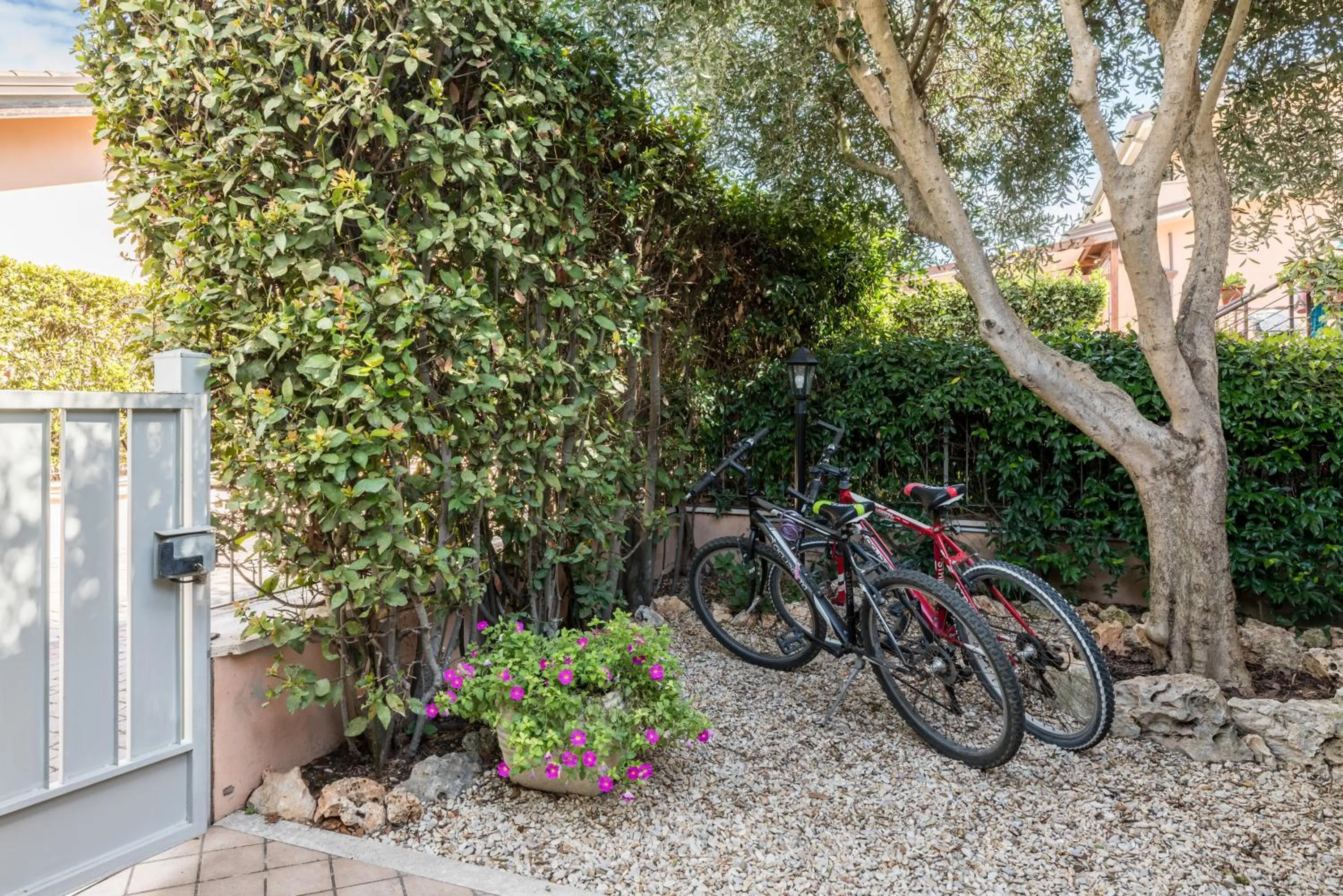 Garden in B&B L'Ulivo Fiumicino