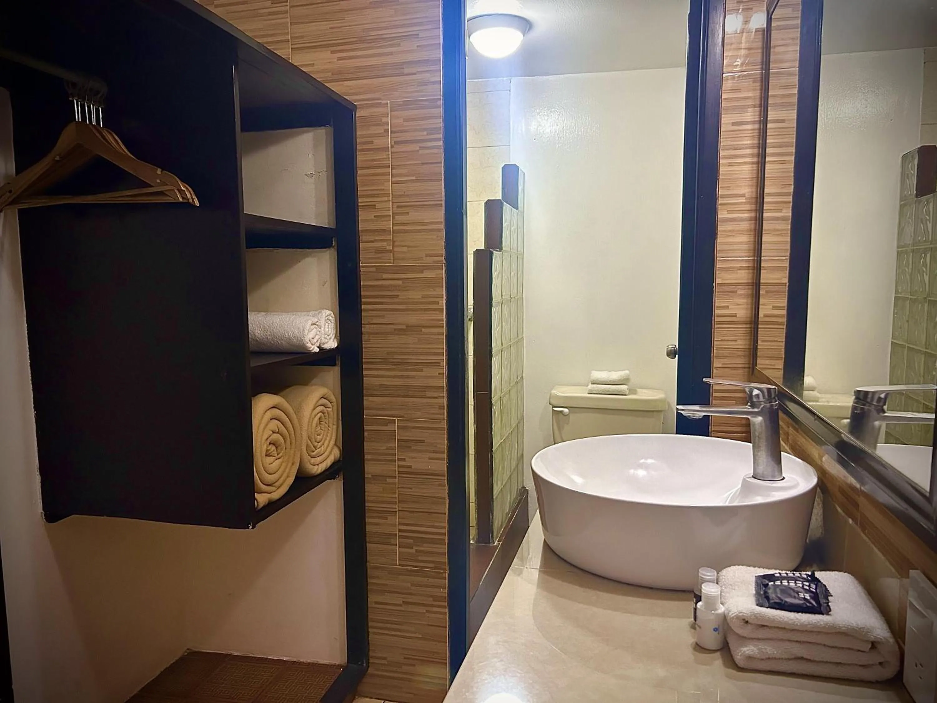 Shower in VF Villa Florencia Hotel