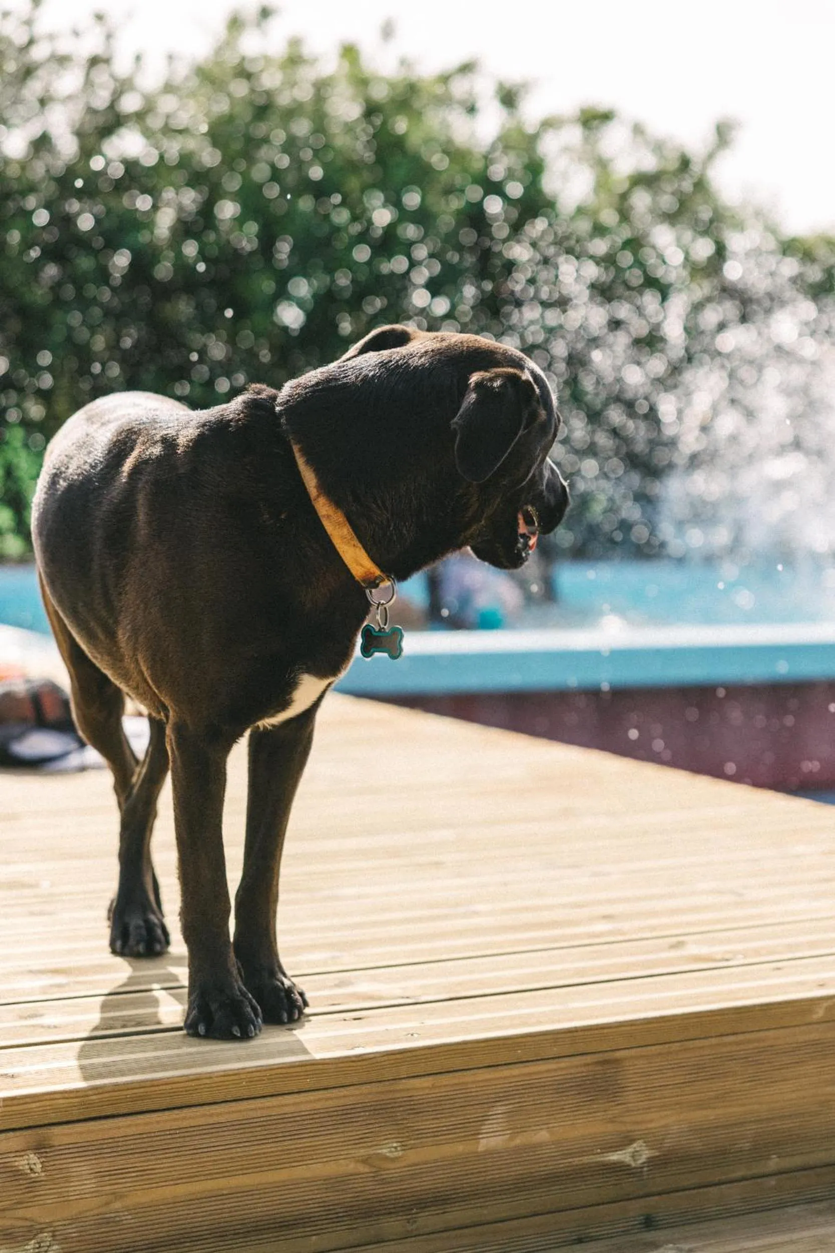Swimming pool in You and the sea