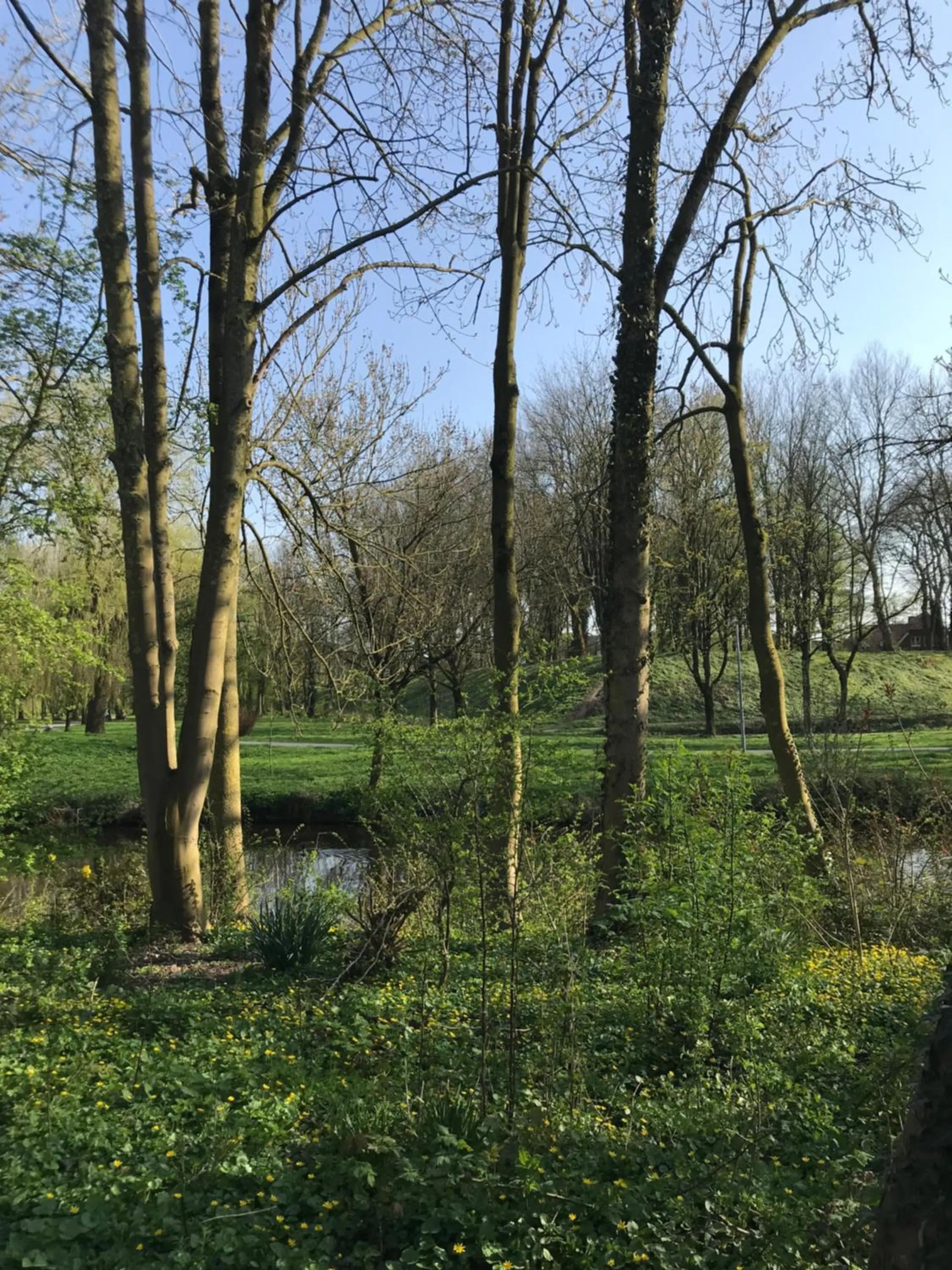 On site in Apartment am Wall