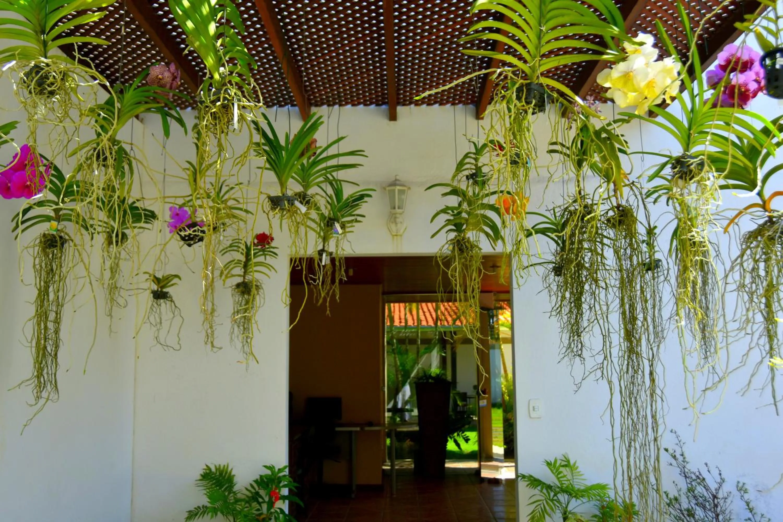 Garden in Pousada Lua e Mar