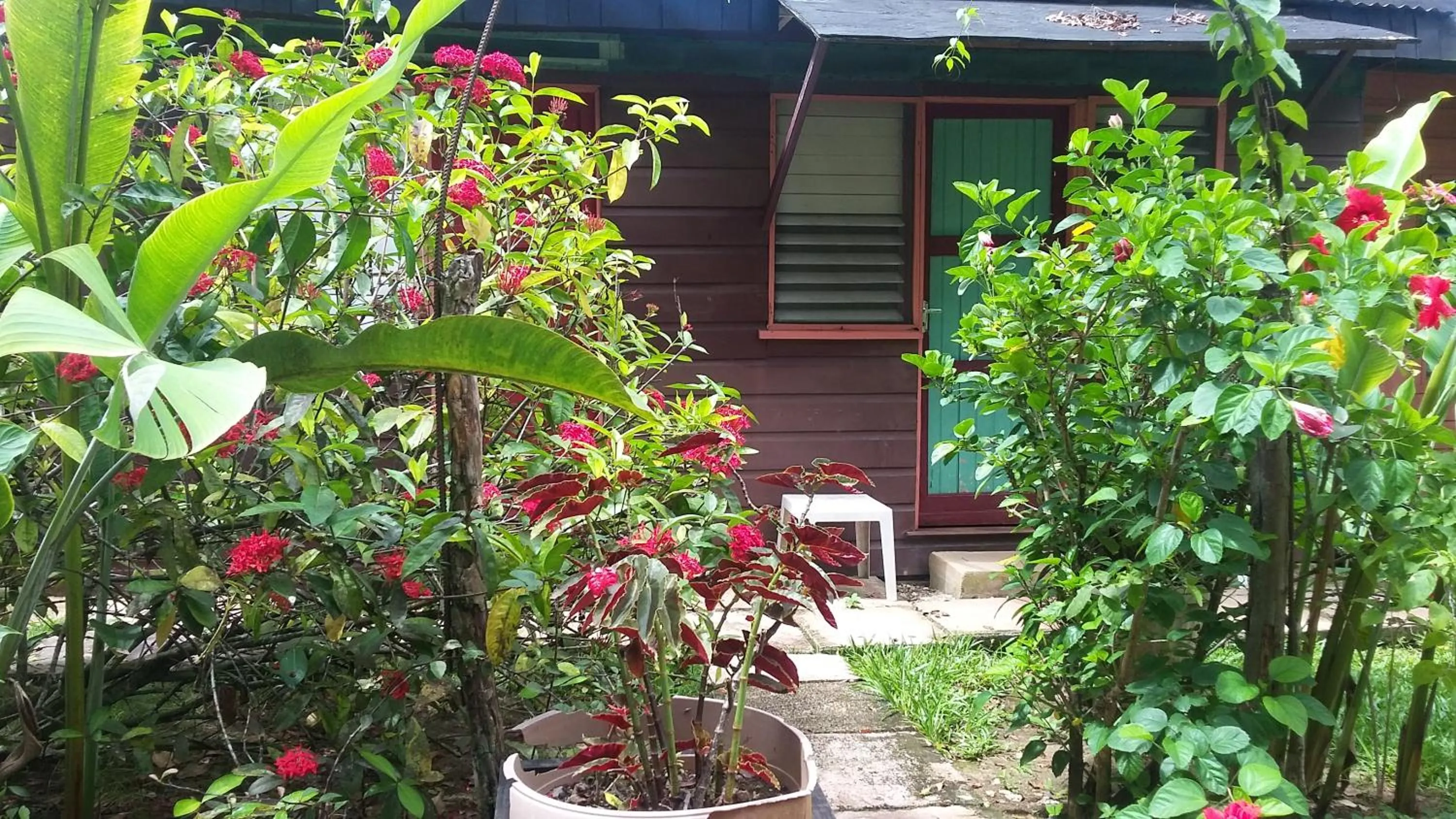 Garden in Secret Cabins at Firefly Beach Cottage