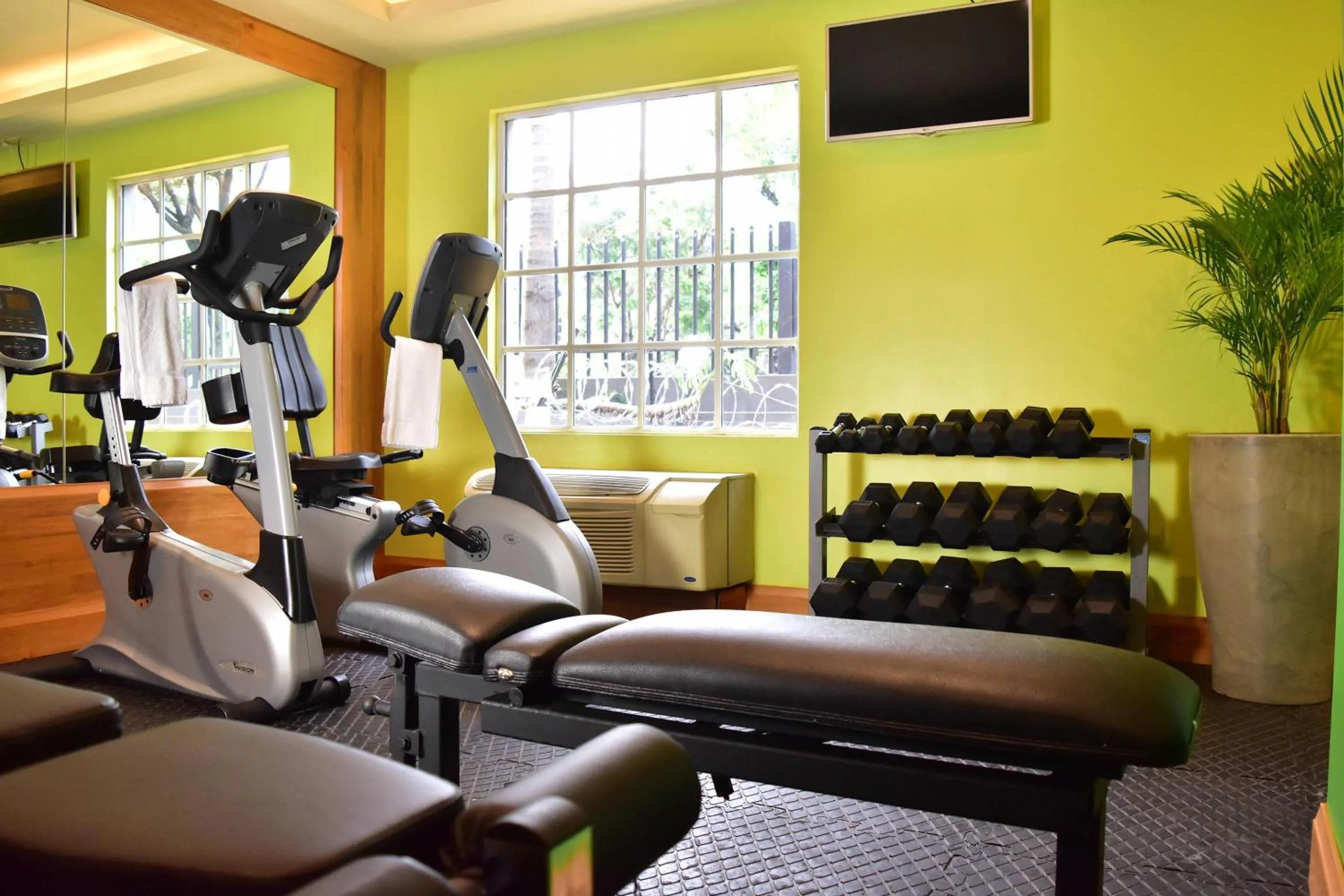 Fitness centre/facilities in Sleep Inn Paseo Las Damas