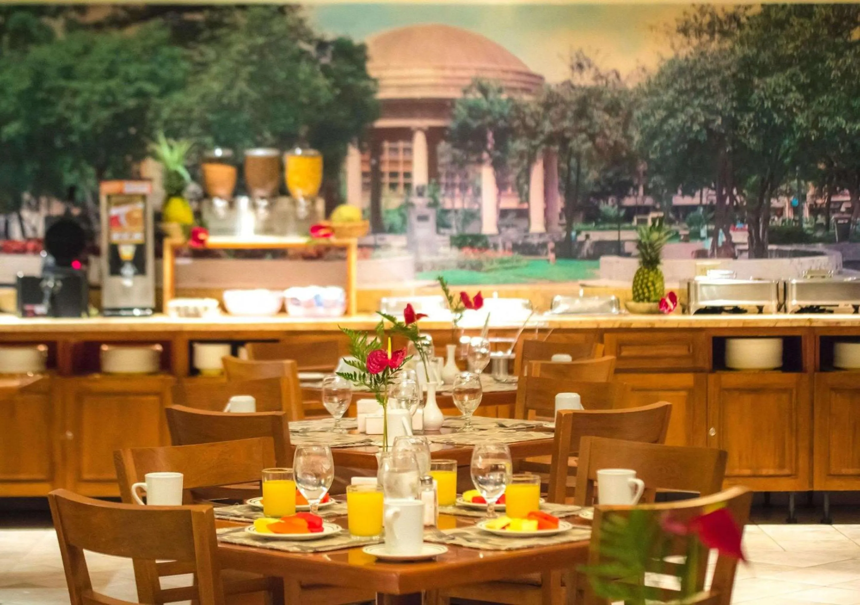 Restaurant/places to eat in Sleep Inn Paseo Las Damas