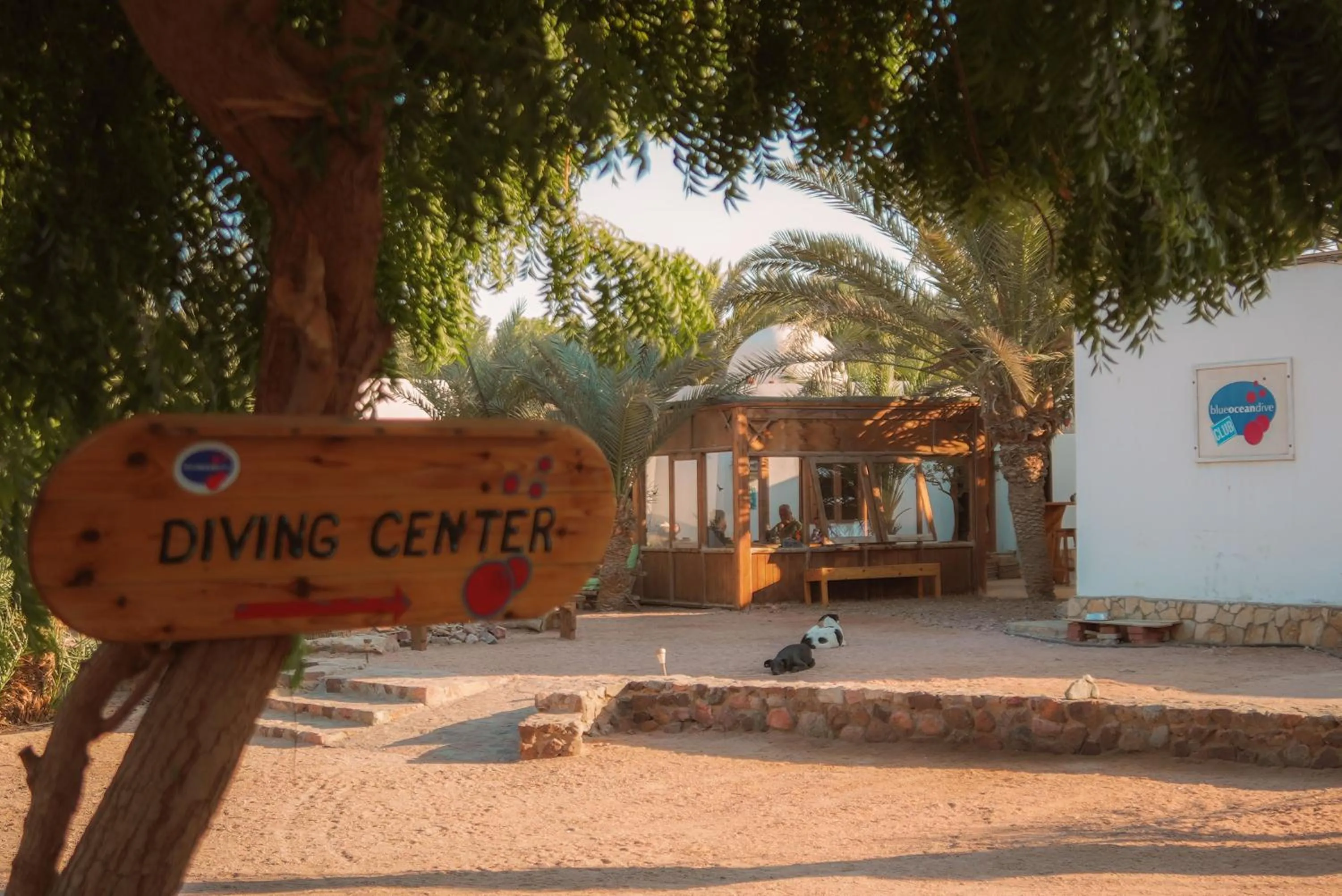 Sheikh Ali Dahab Resort