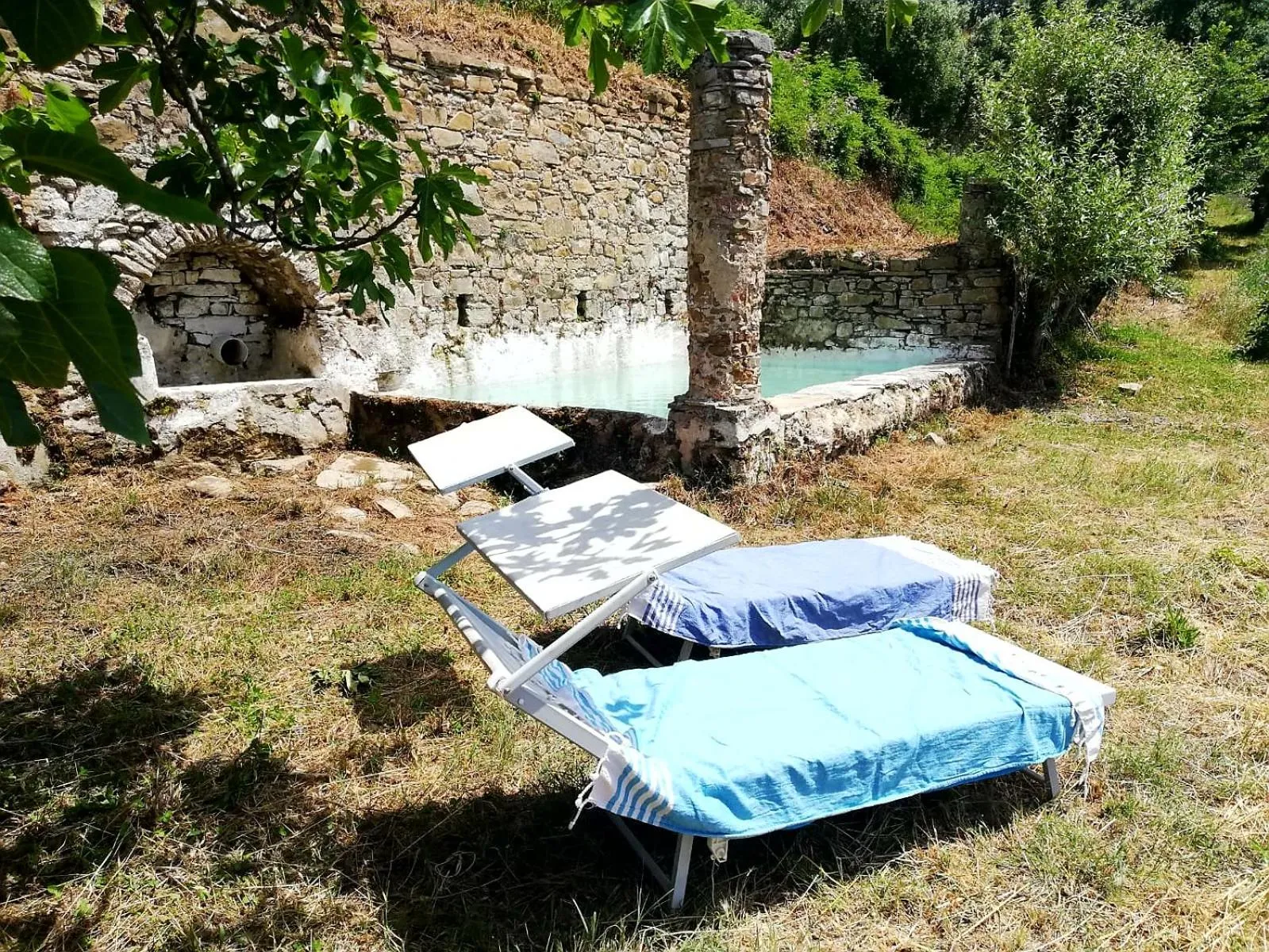 Activities in FattoriaTenuta Santa Caterina