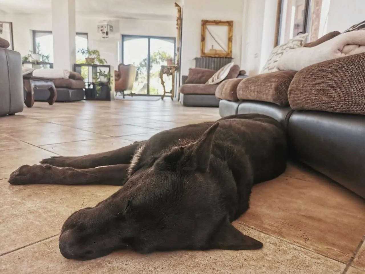 FattoriaTenuta Santa Caterina