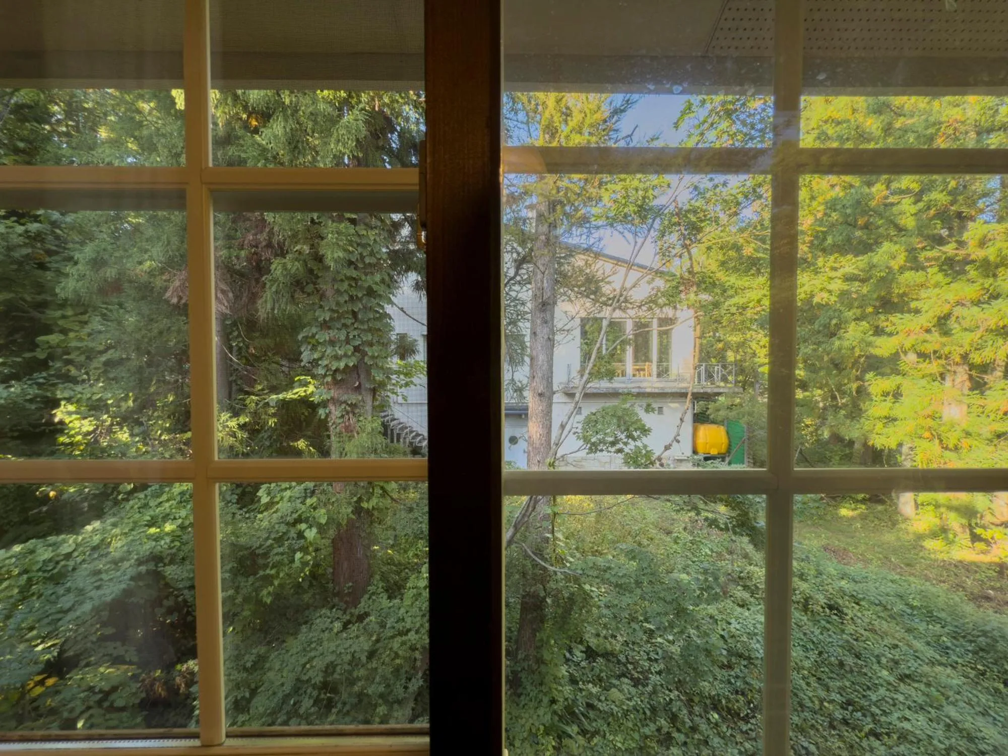 Spring in Santana Lodge Hakuba