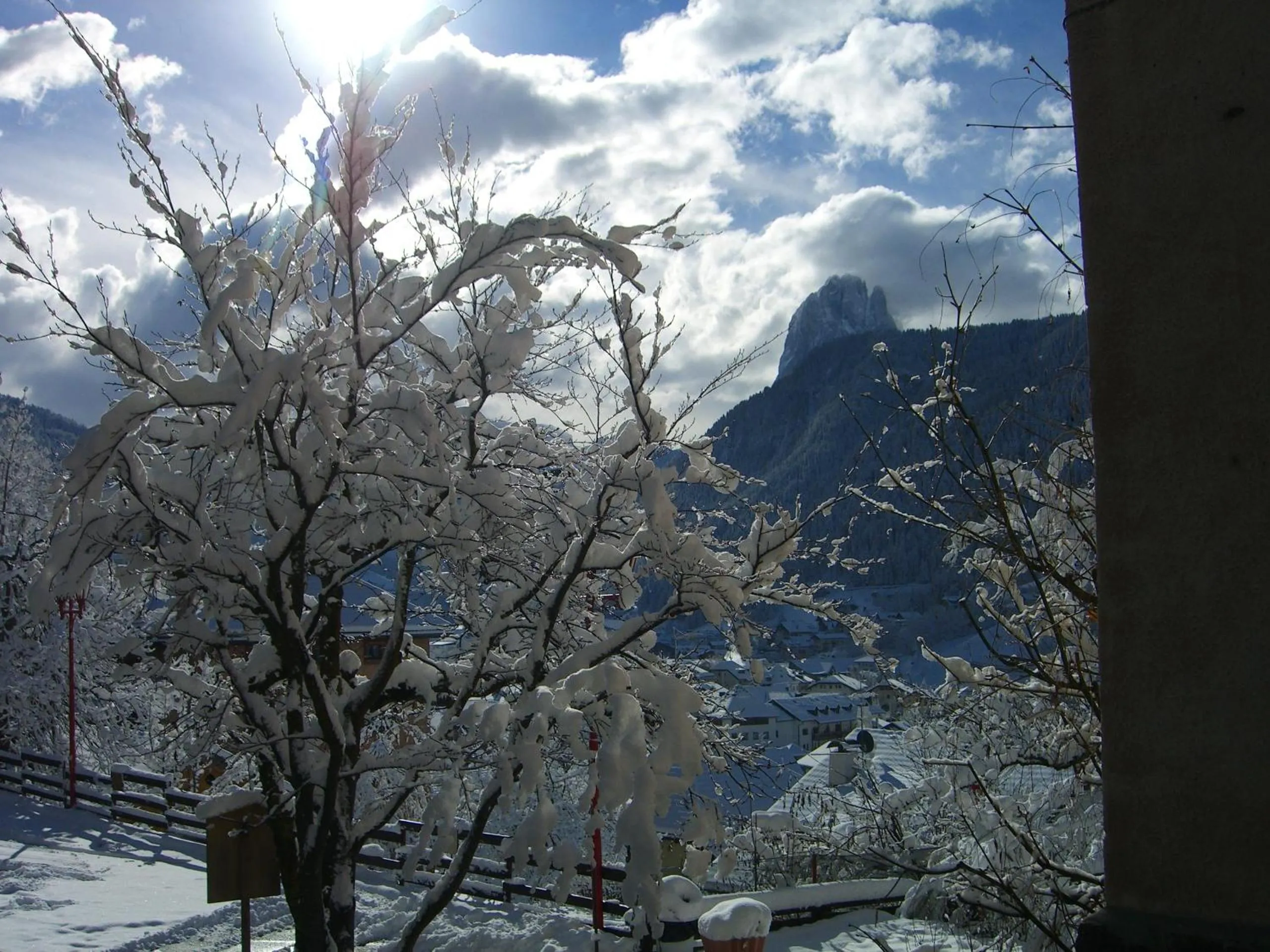 Garden in Hotel Villa Emilia