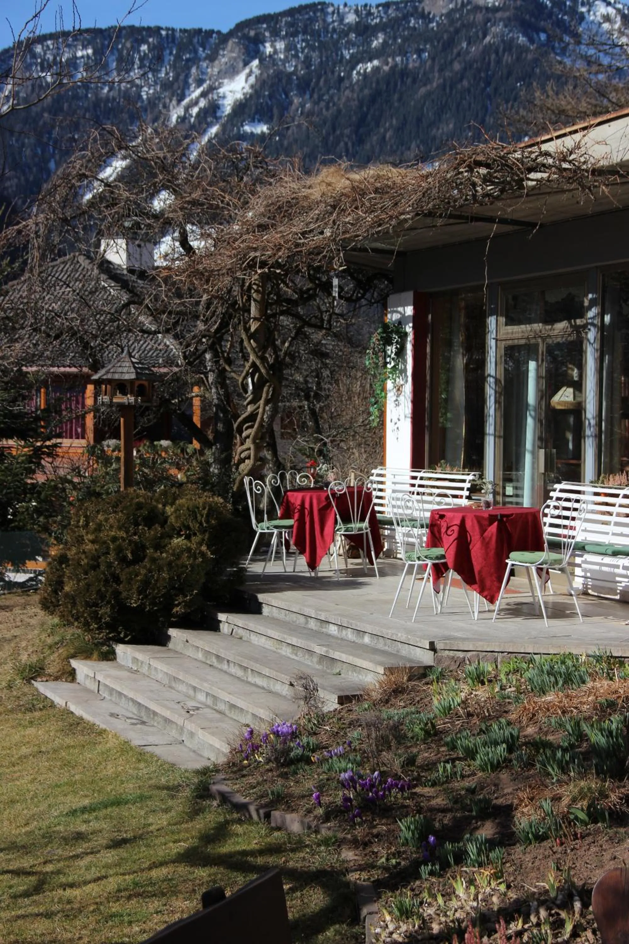 Garden in Hotel Villa Emilia