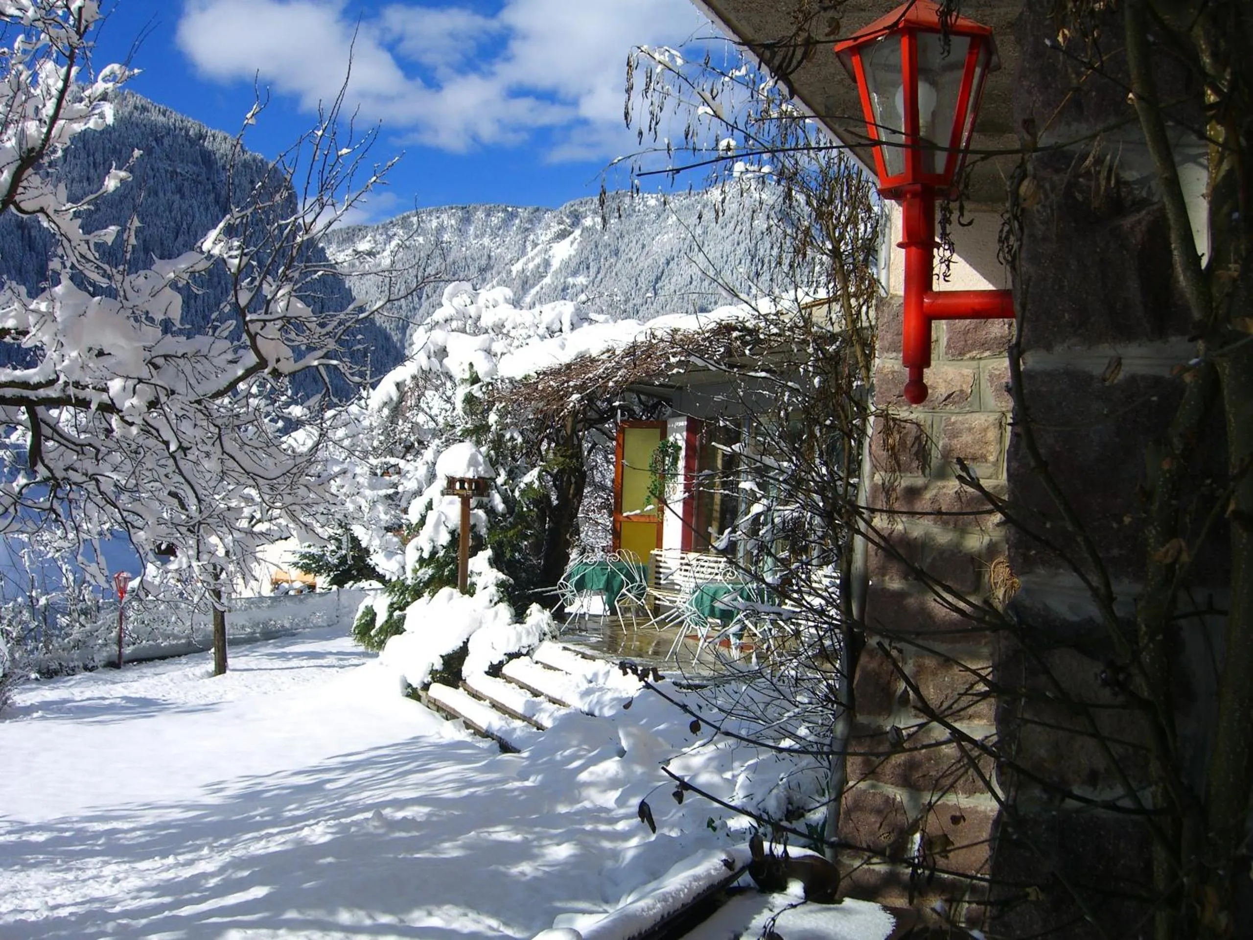 Garden in Hotel Villa Emilia