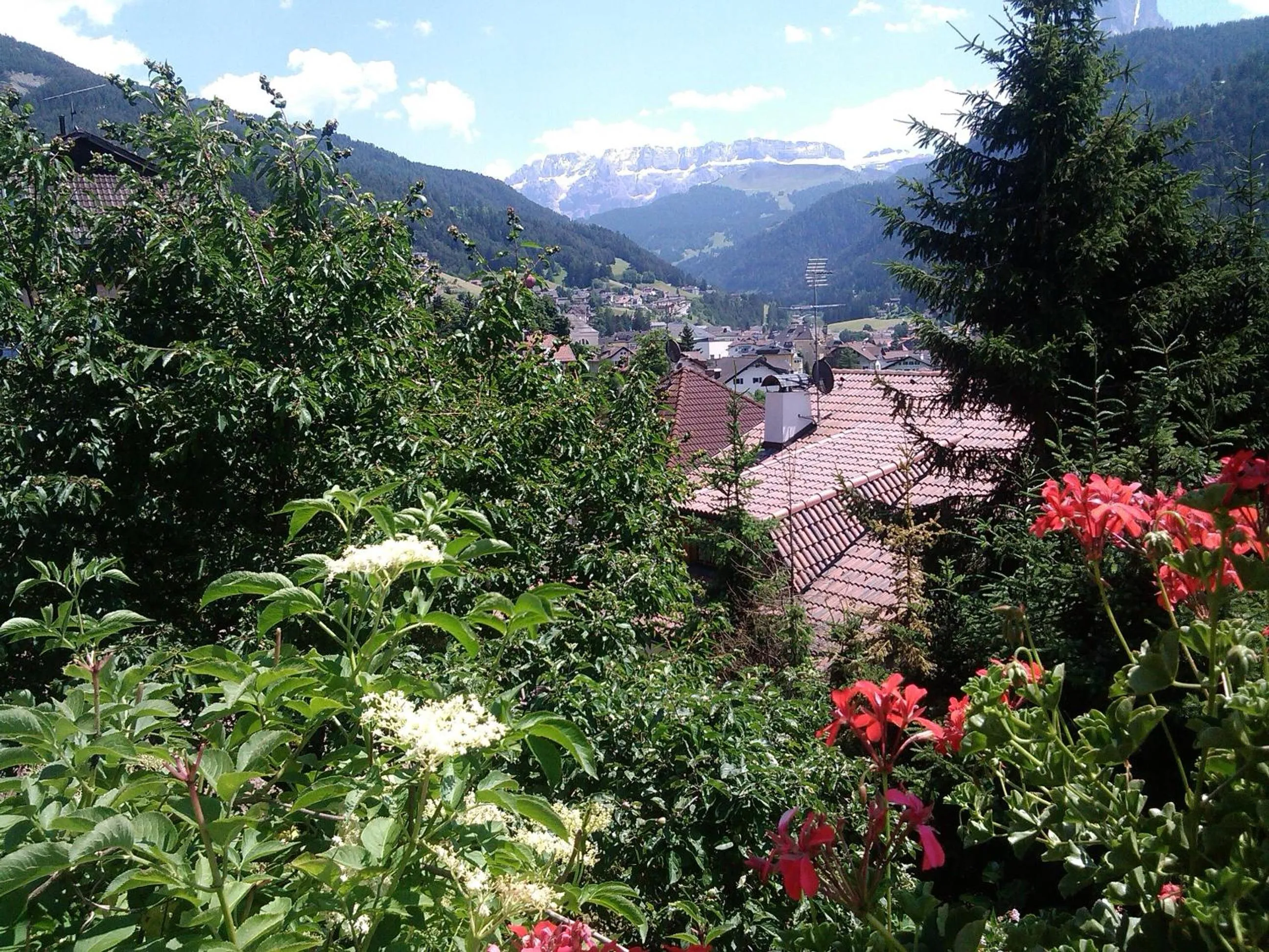 Garden in Hotel Villa Emilia