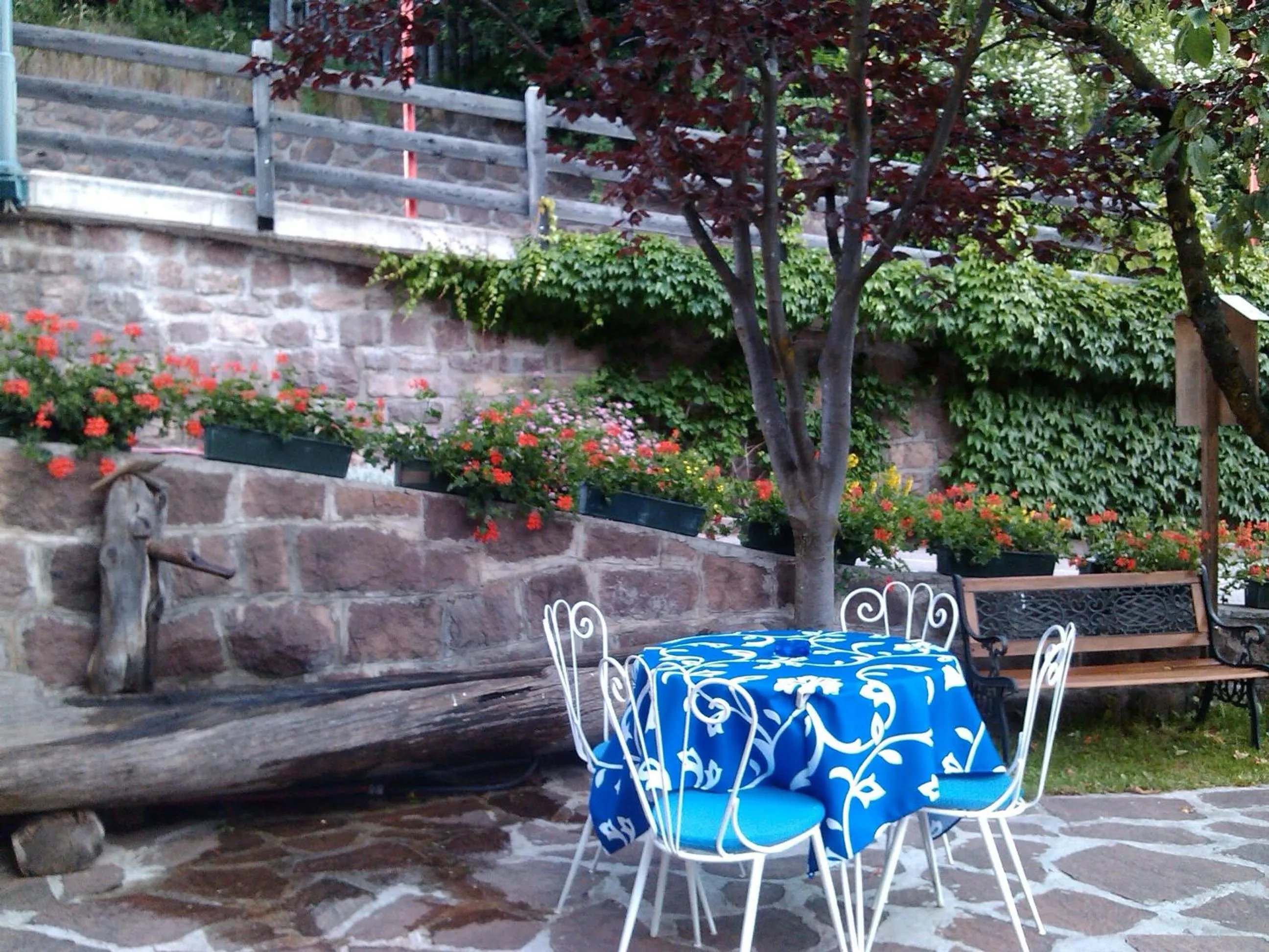 Garden in Hotel Villa Emilia