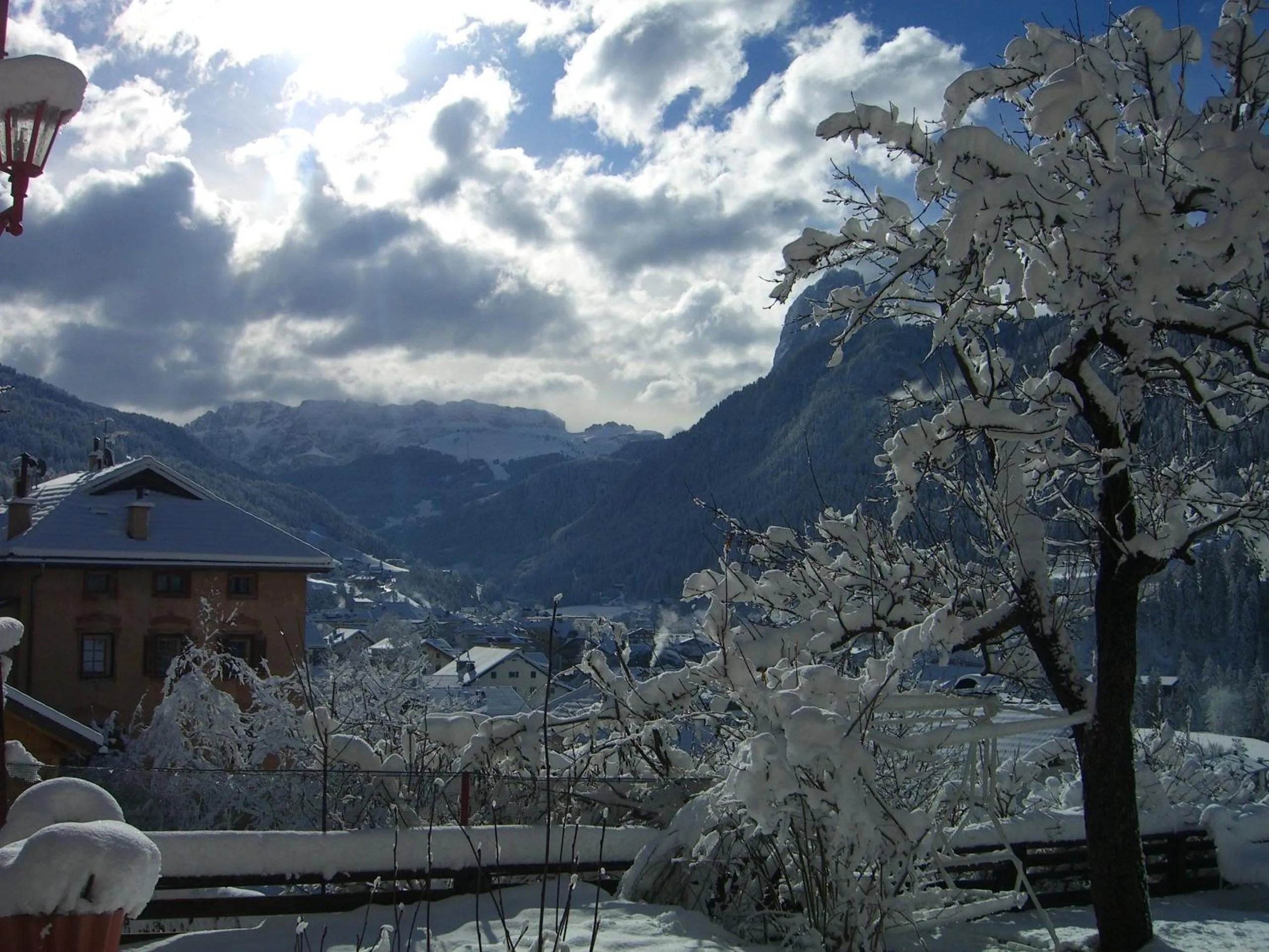 Garden in Hotel Villa Emilia