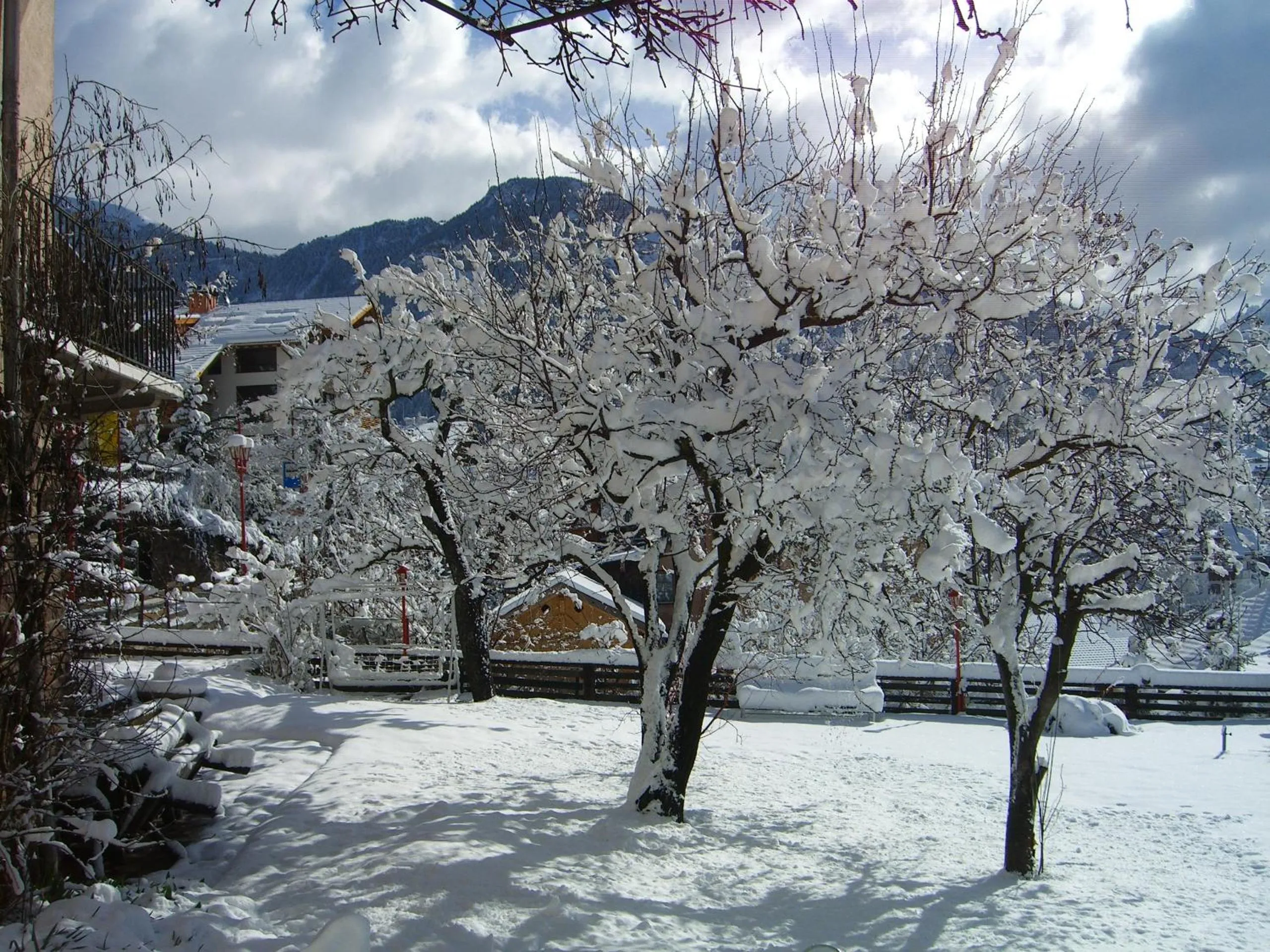 Garden in Hotel Villa Emilia