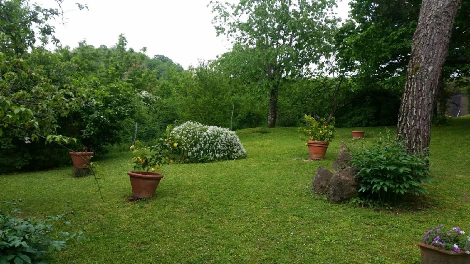 Garden view in B&B Appartamenti Villa del lago