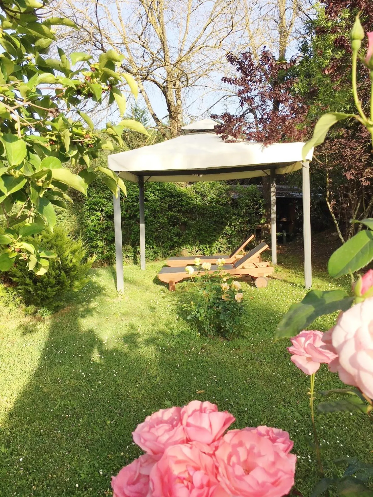 Garden in B&B Appartamenti Villa del lago