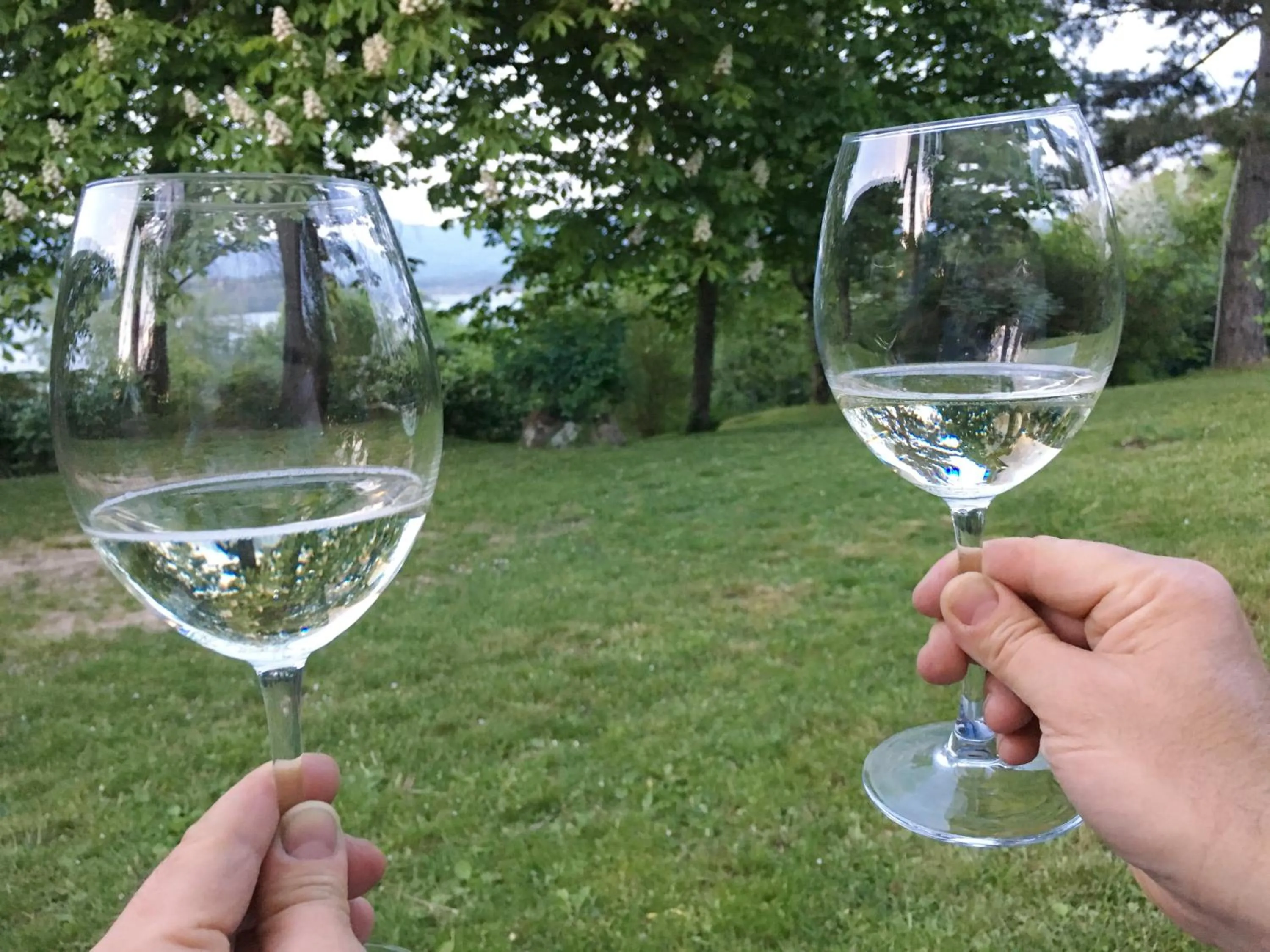 Drinks in B&B Appartamenti Villa del lago