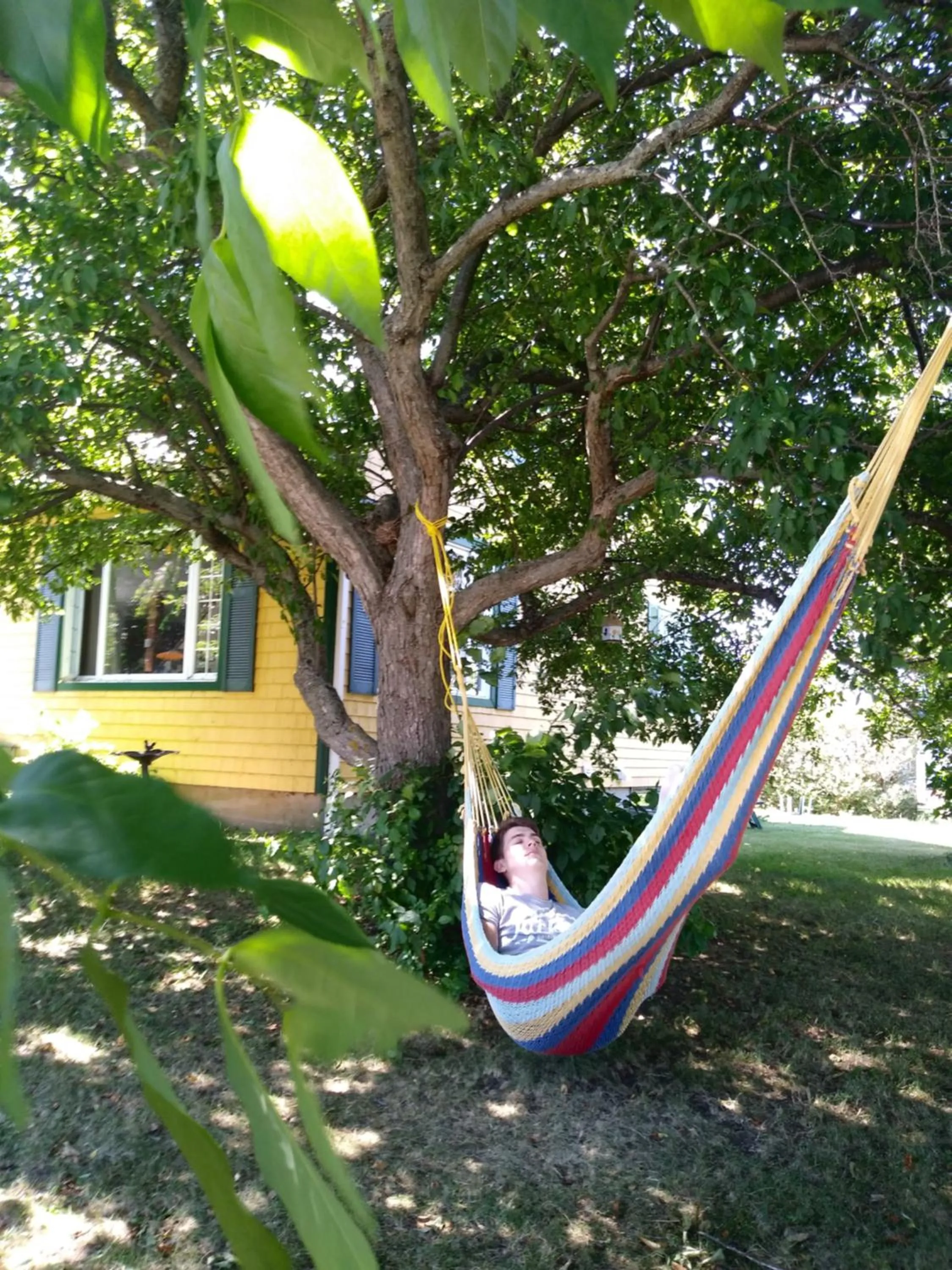 Garden in Gîte B&B - Aubergélit inc