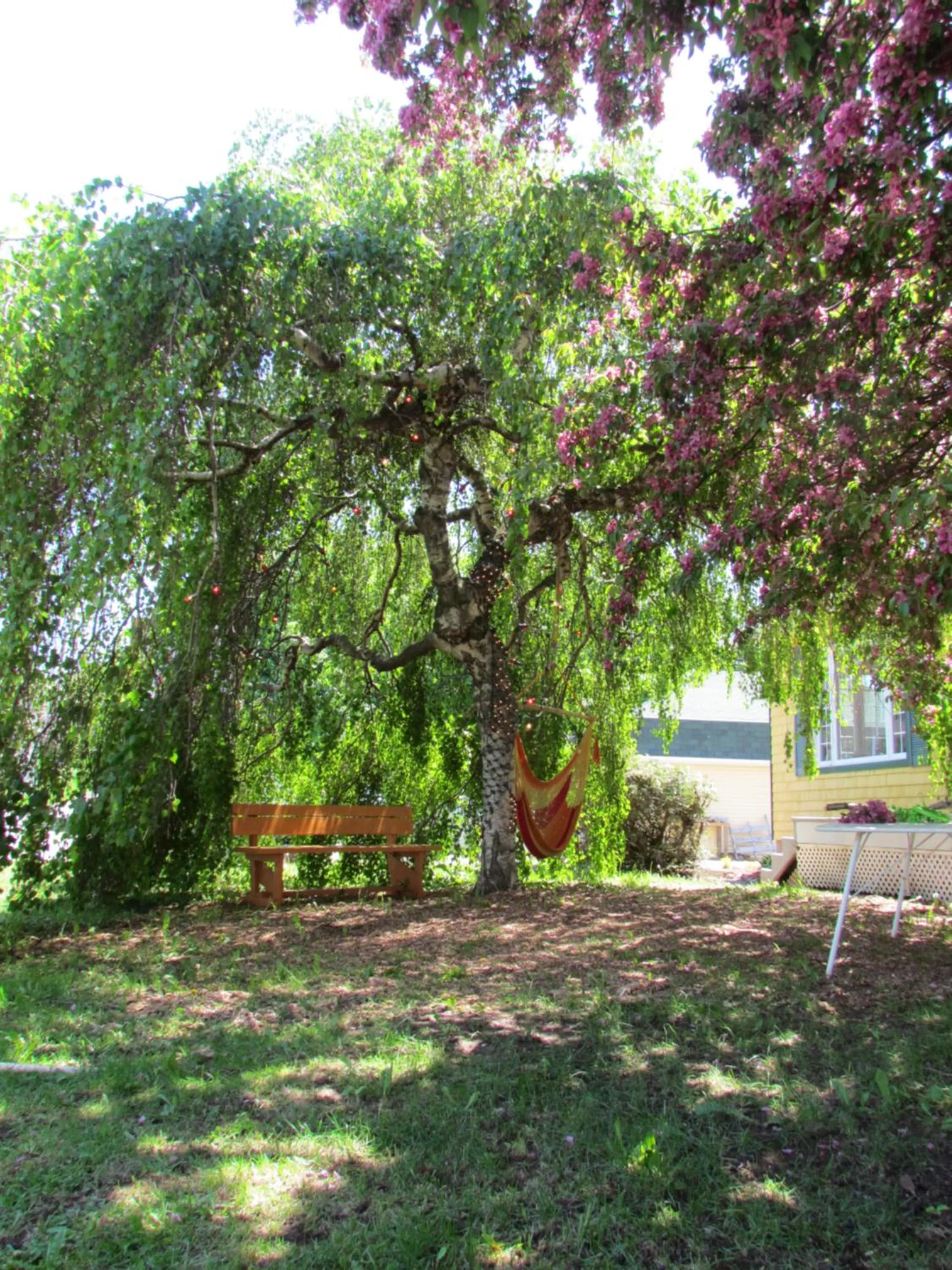 Garden in Gîte B&B - Aubergélit inc