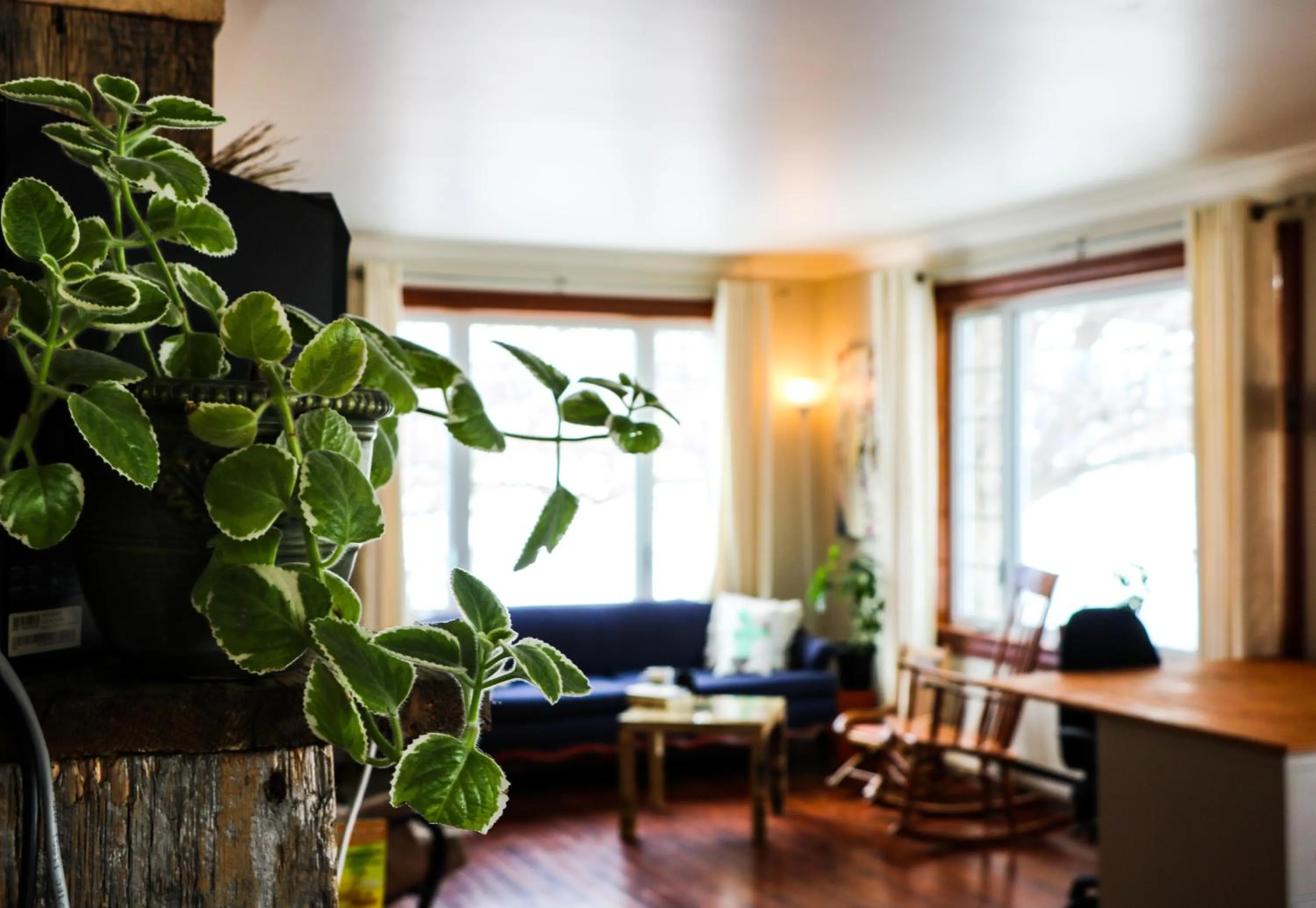 Living room in Gîte B&B - Aubergélit inc
