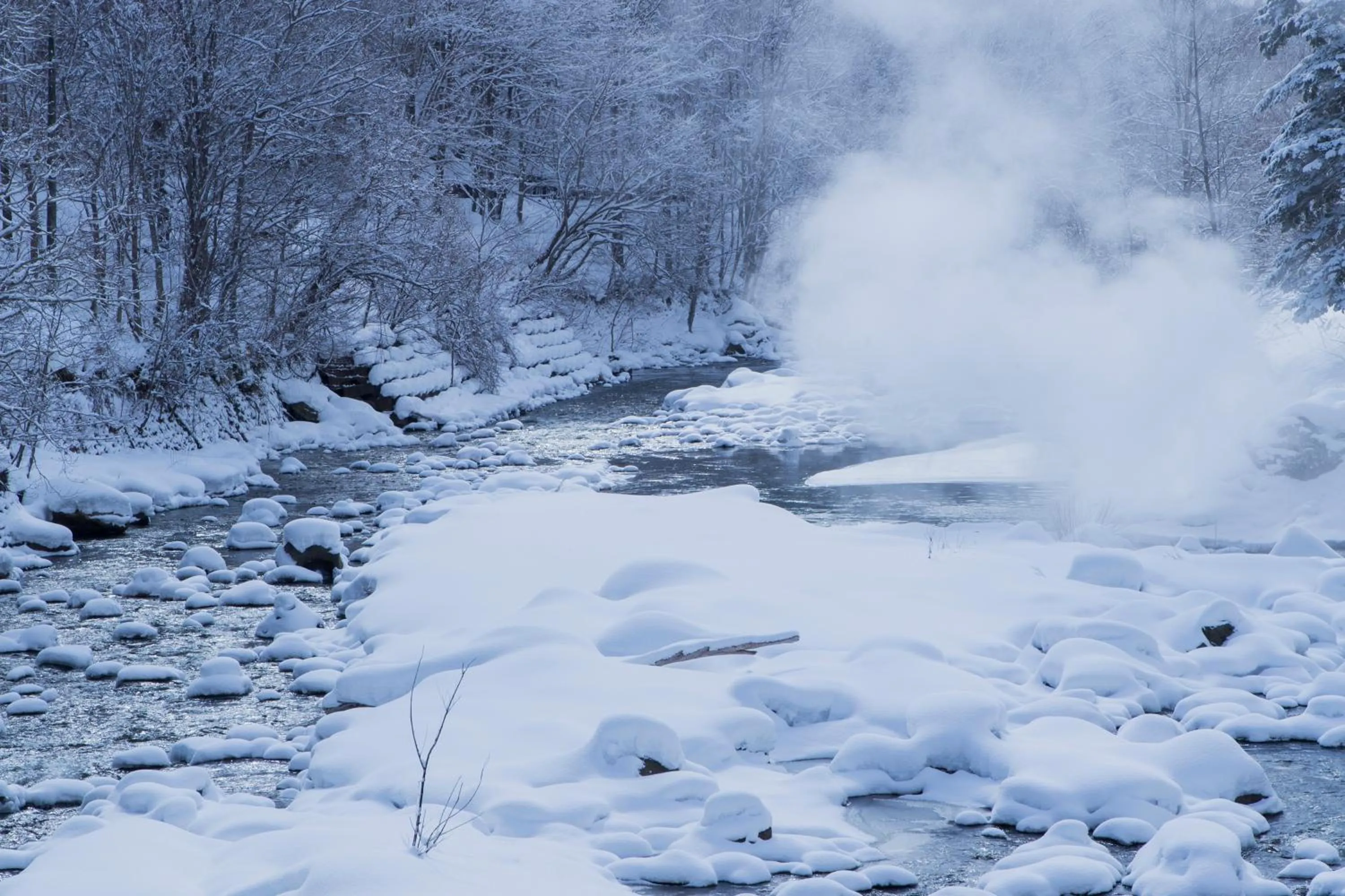 Off site in Midorinokaze Resort Kitayuzawa