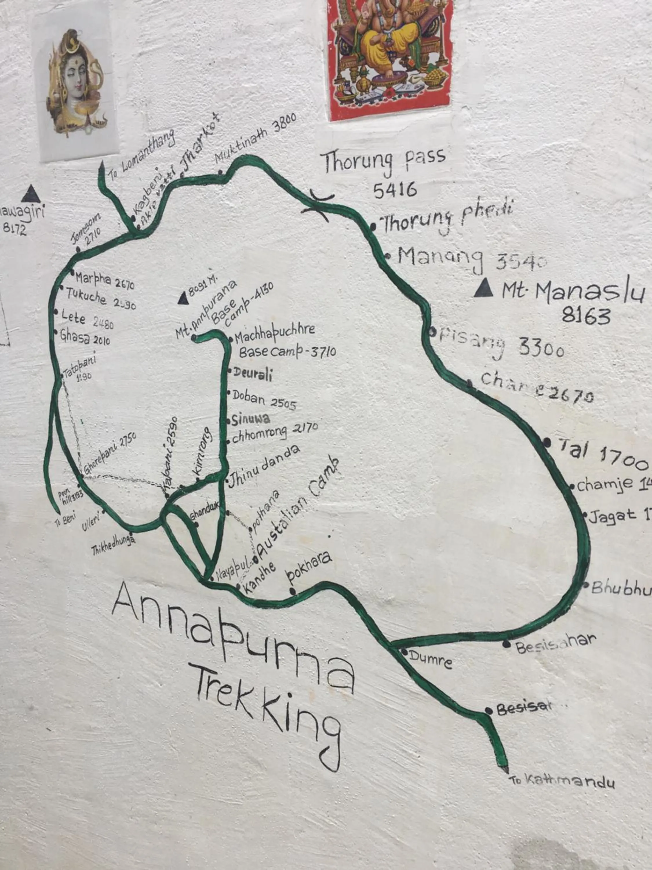 BnB Royal Tourist House