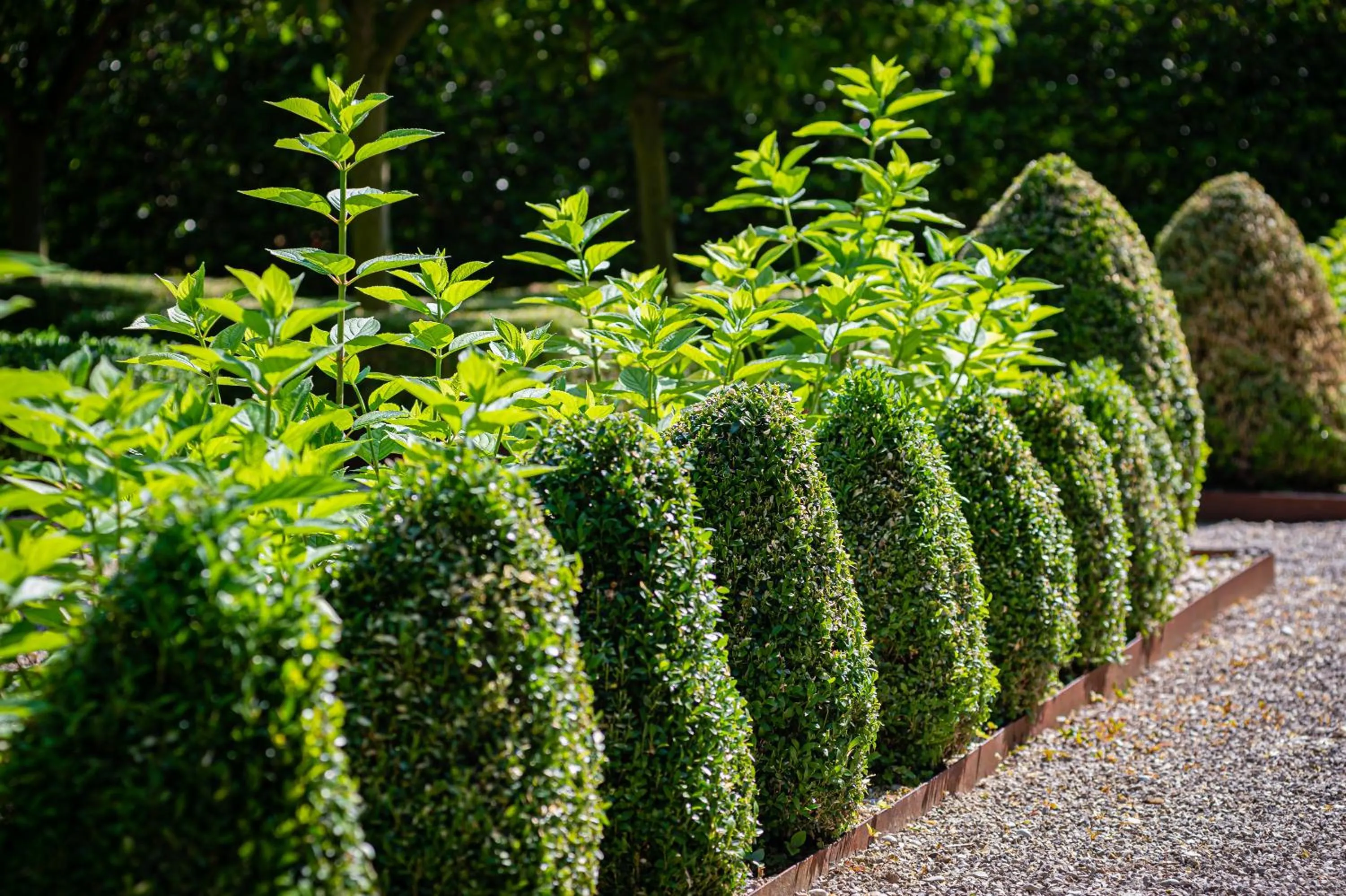 Garden view in Fiori e Frutti Hotel Agriresort Venezia Mestre