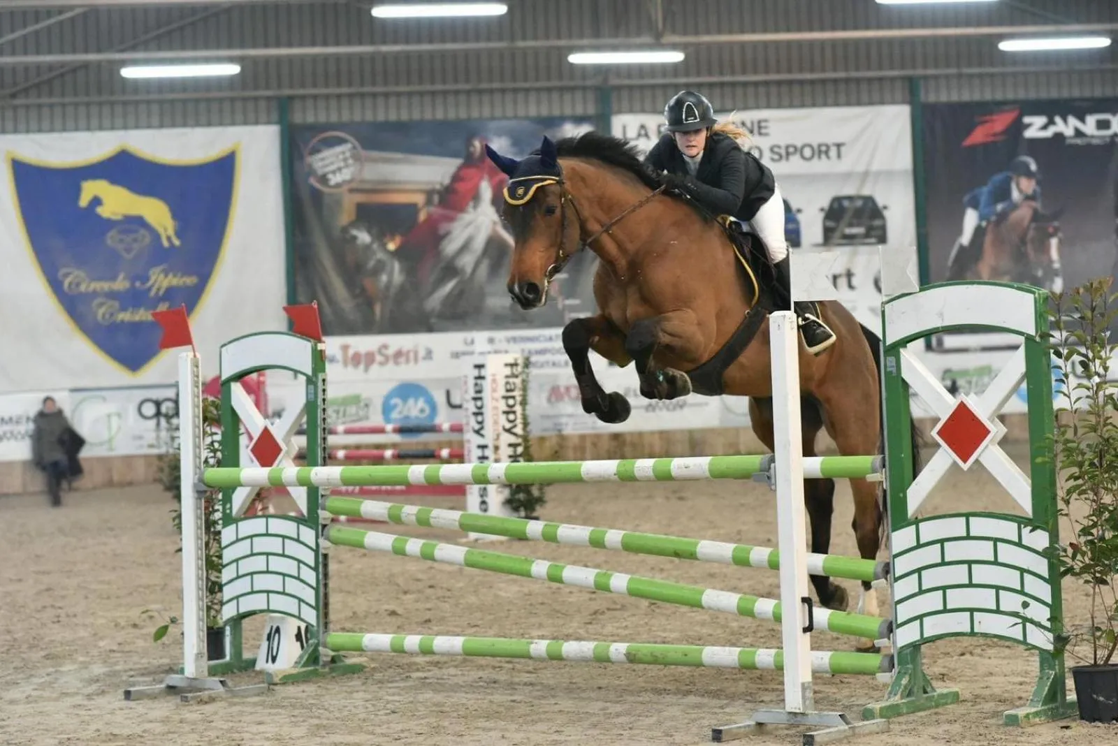 Horse-riding in Fiori e Frutti Hotel Agriresort Venezia Mestre