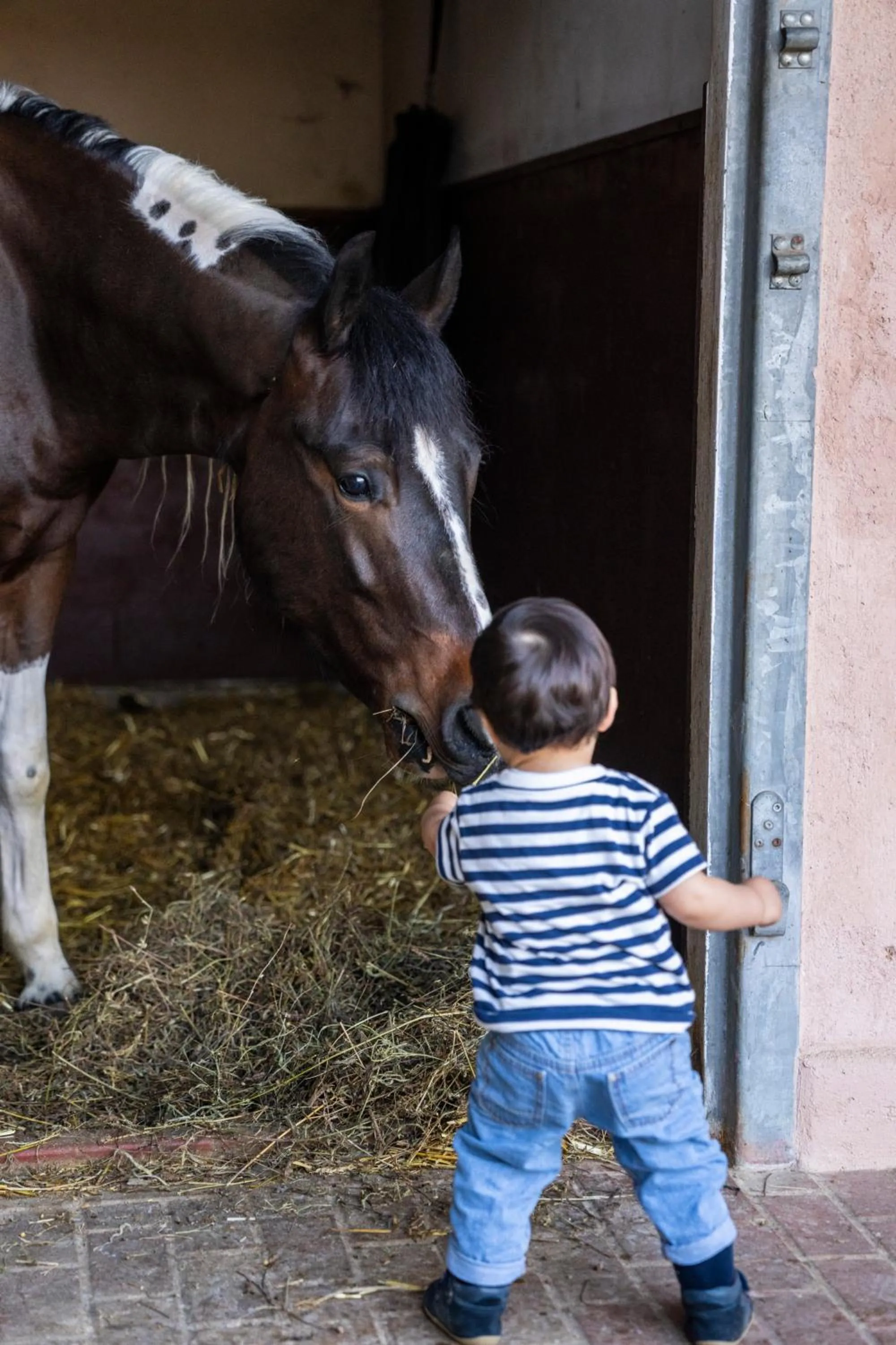 Garden in Fiori e Frutti Hotel Agriresort Venezia Mestre
