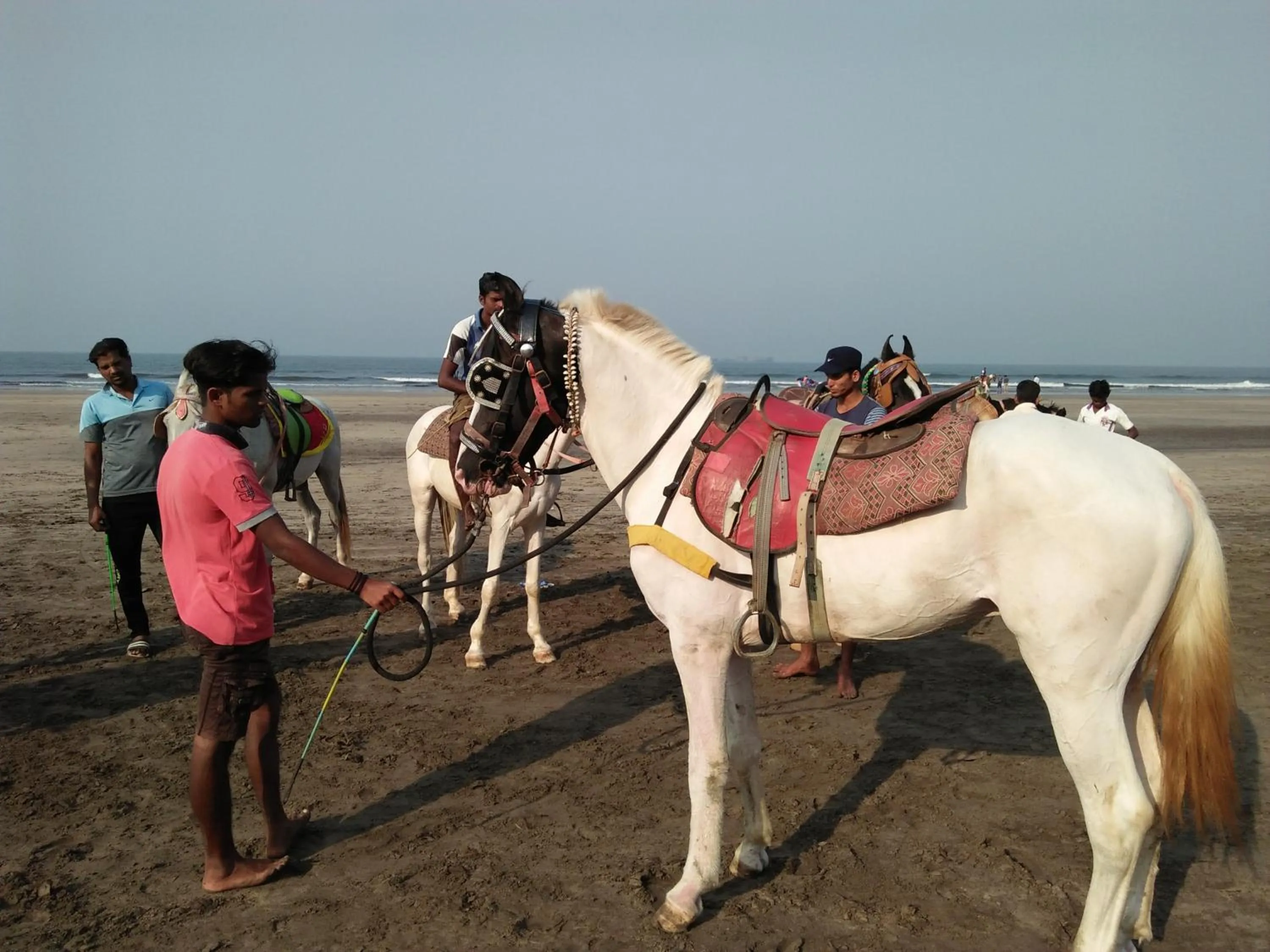 Property building in Hotel Grand Murud janjira