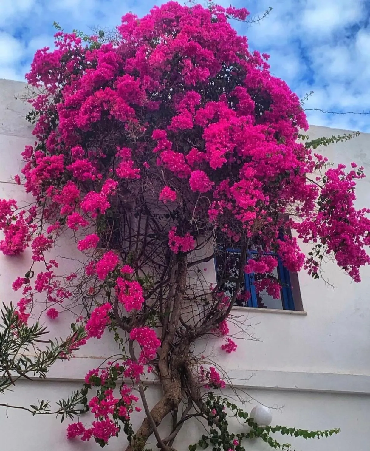 Property building in Mare Naxia Hotel