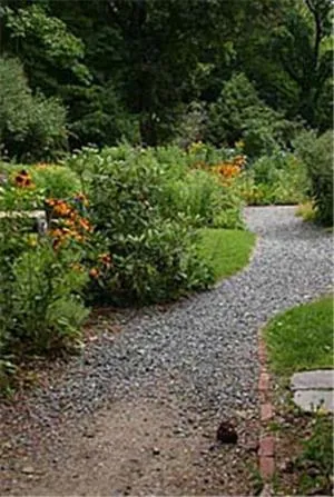 Area and facilities in Mira Monte Inn & Suites