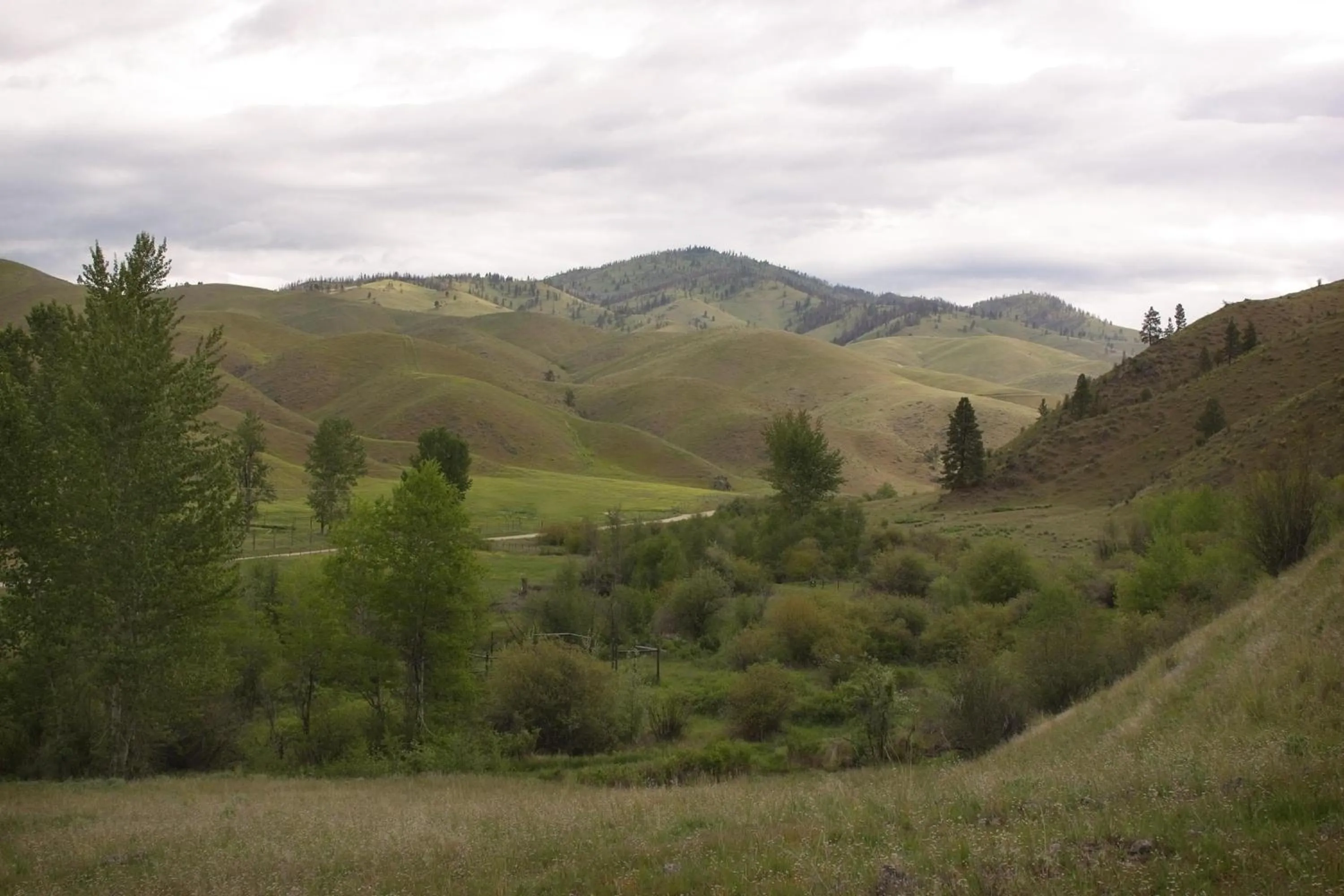 Mountain view in Rye Creek Lodge