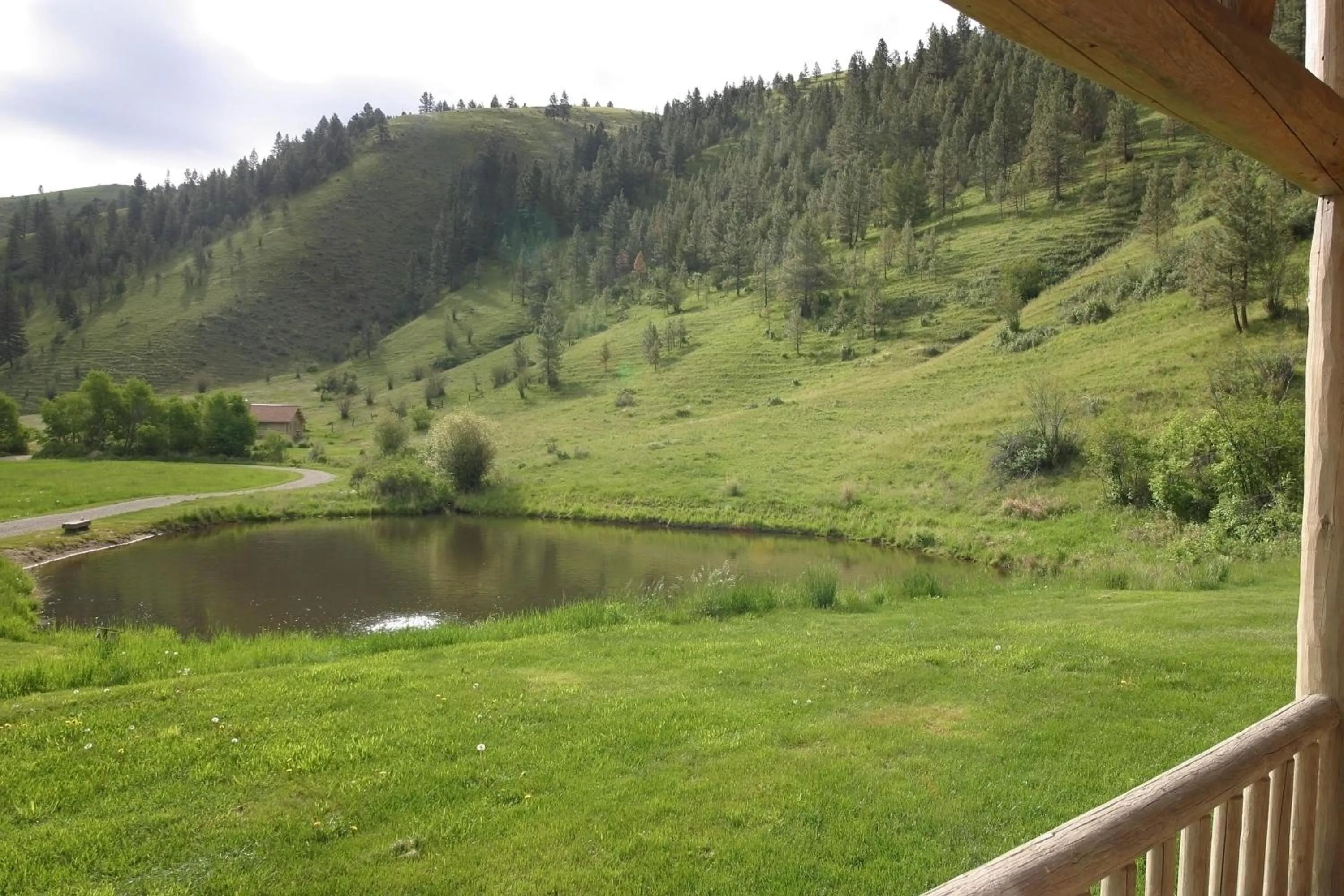 Mountain view in Rye Creek Lodge